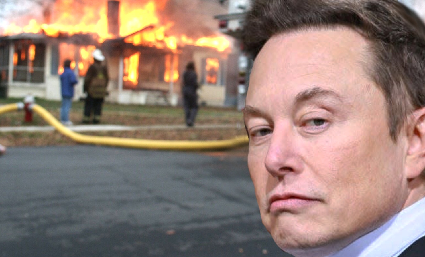 The Musk Catastrophe