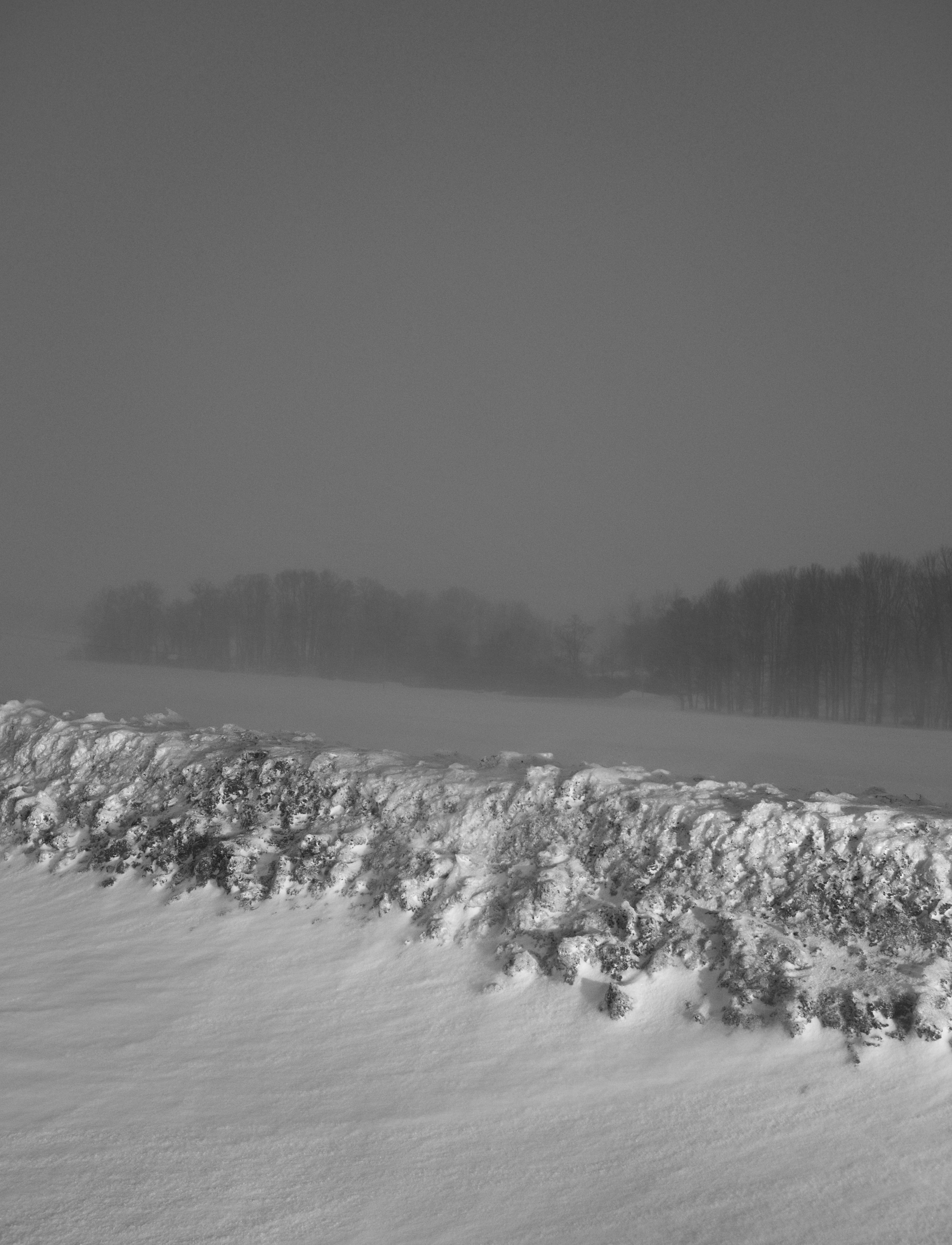 A Serene Dusk Snowfall Captured in Time