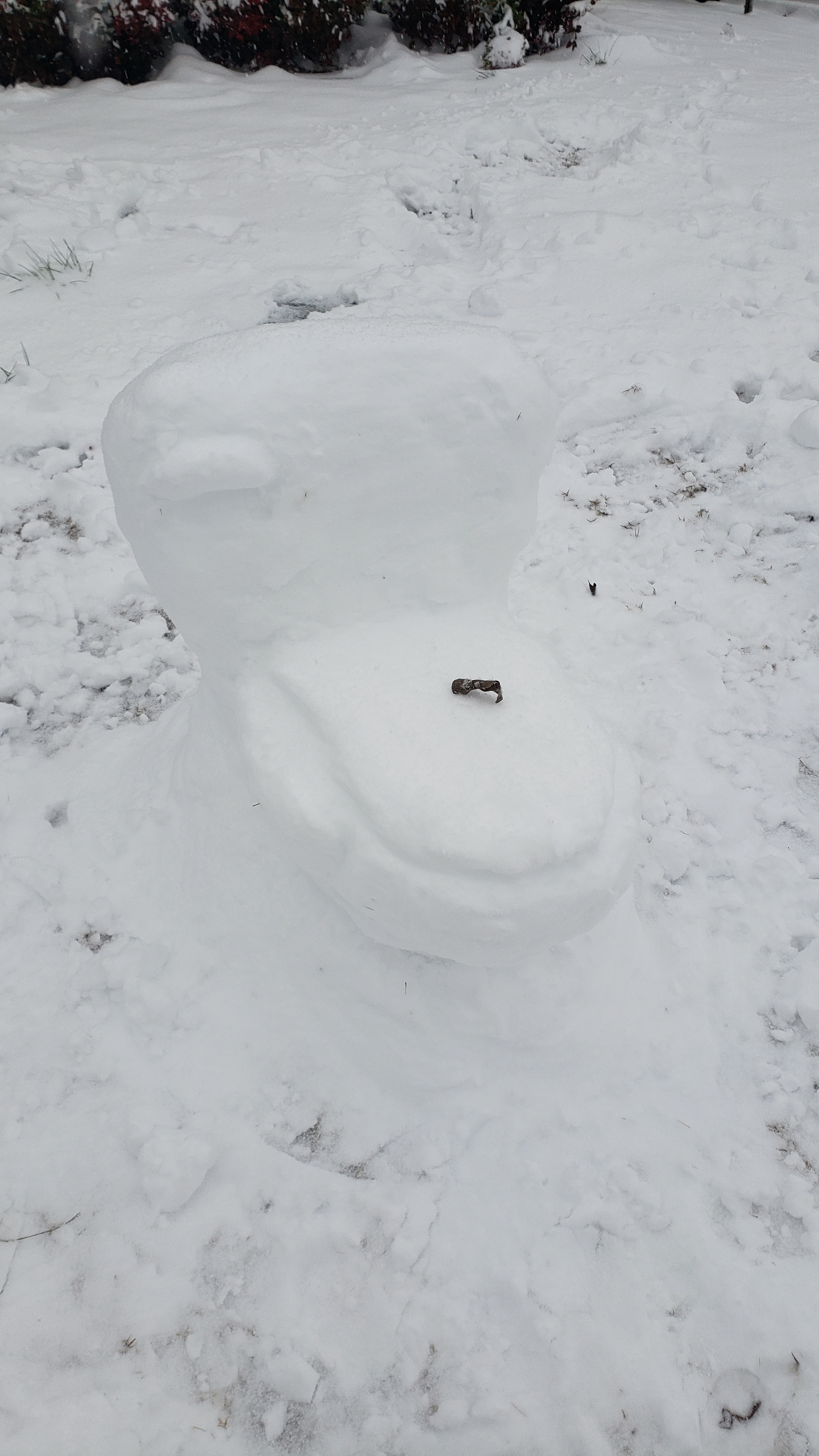 The snowy throne: A comical take on the commode