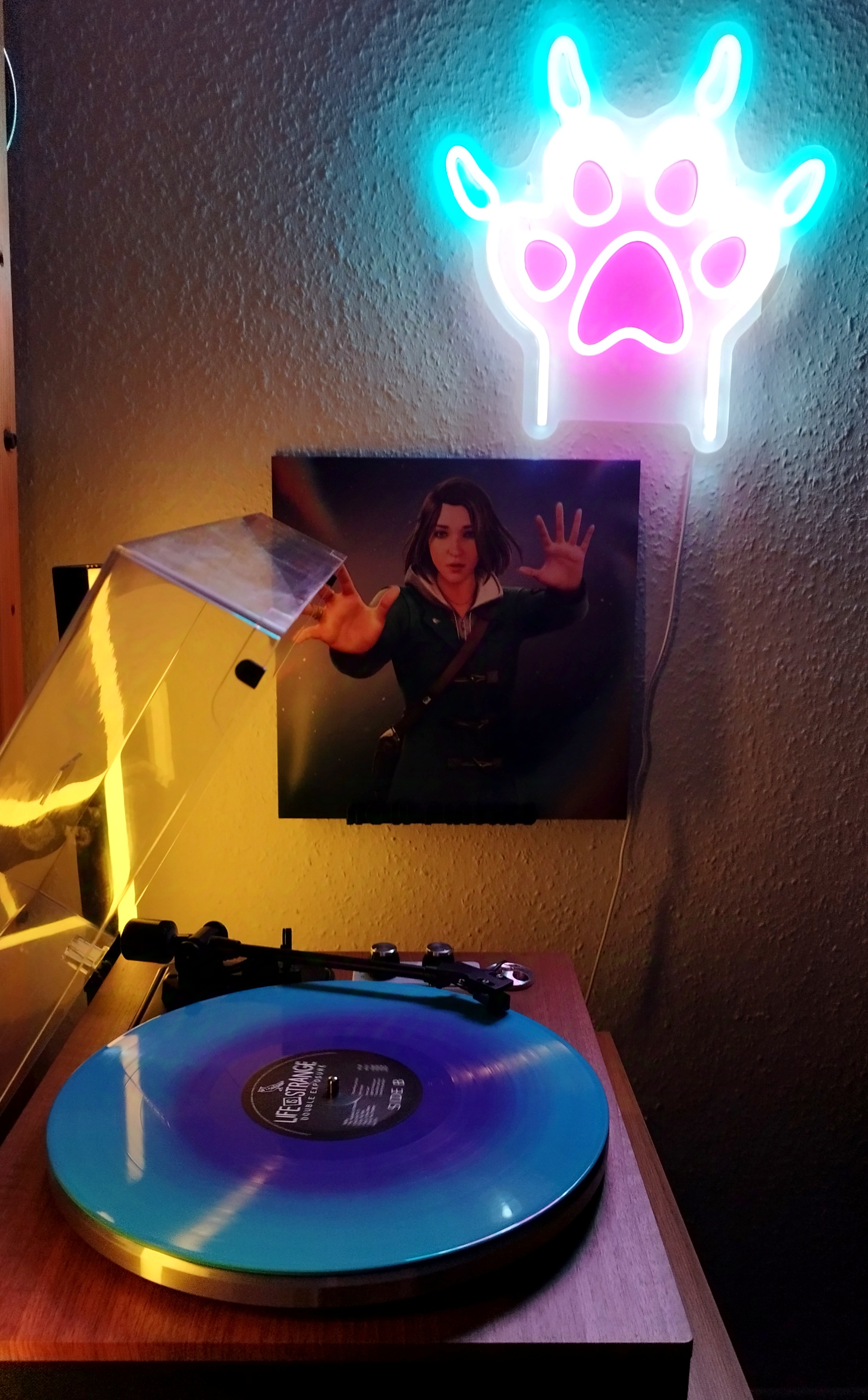 Embracing the Unpredictable: Life is Strange
