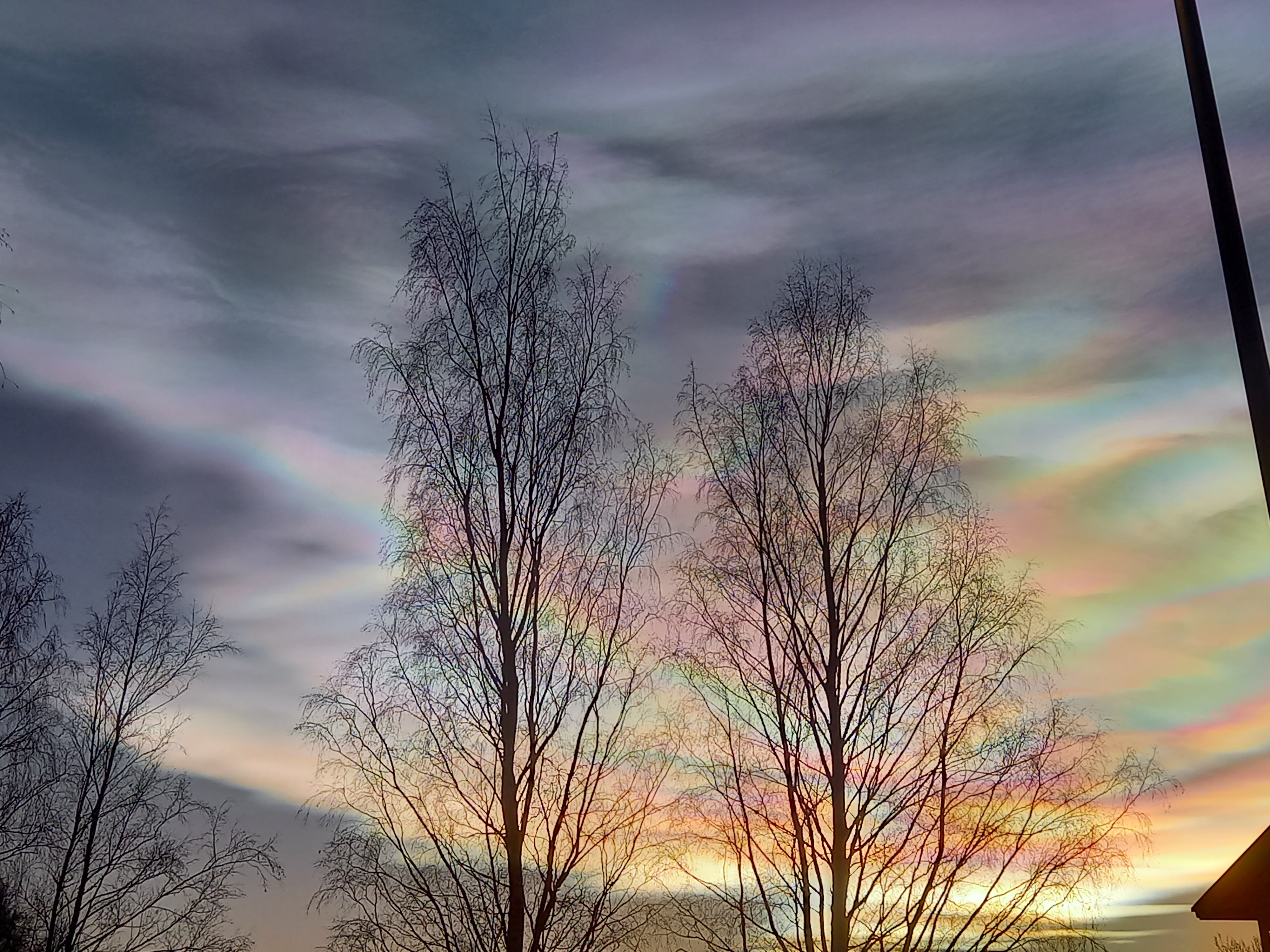 Today’s Sky Was Stunning: Check Out These Polar Stratospheric Clouds