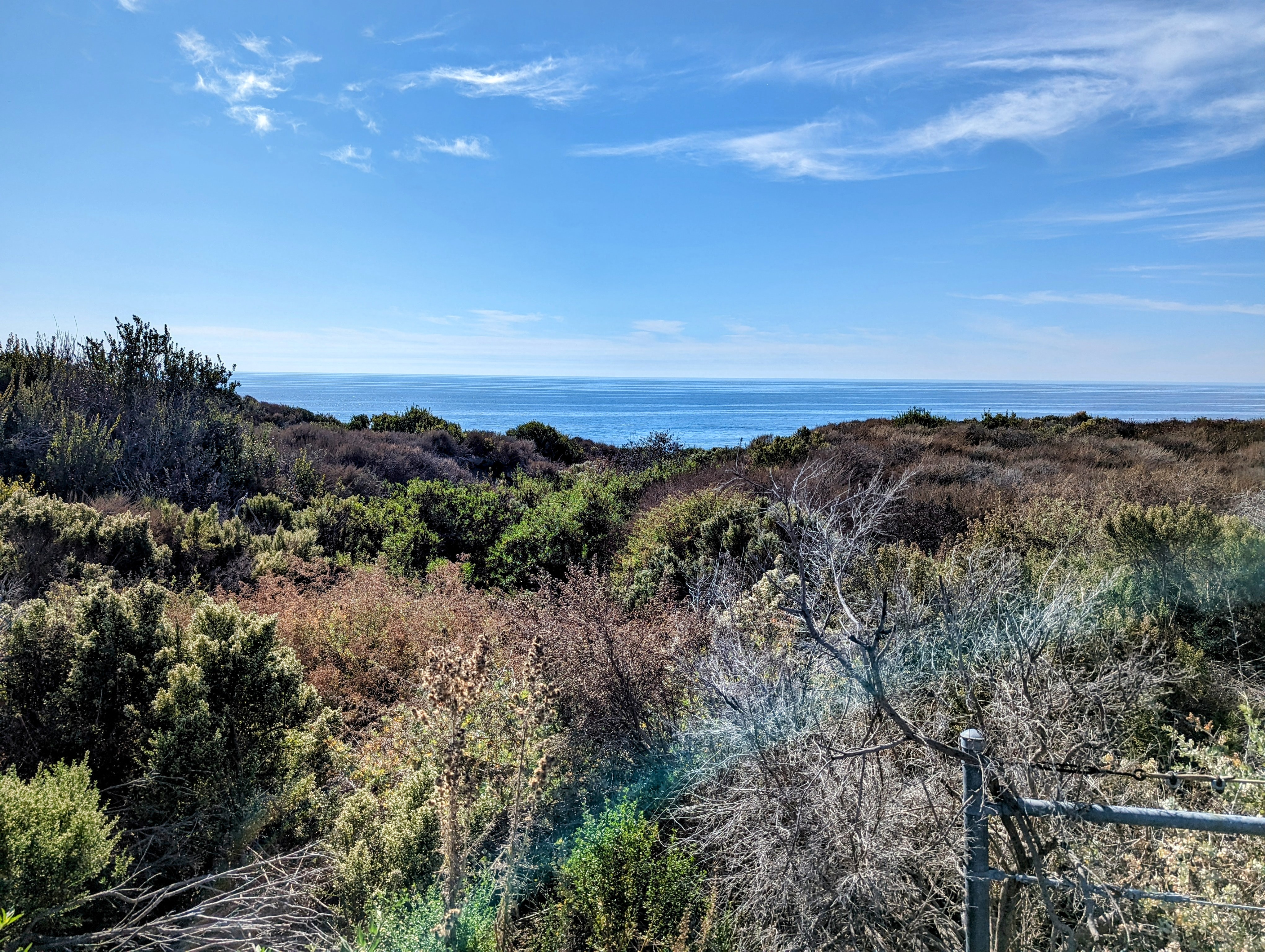 Exploring the Beauty of Crystal Cove and Reef Point, California in November 2024