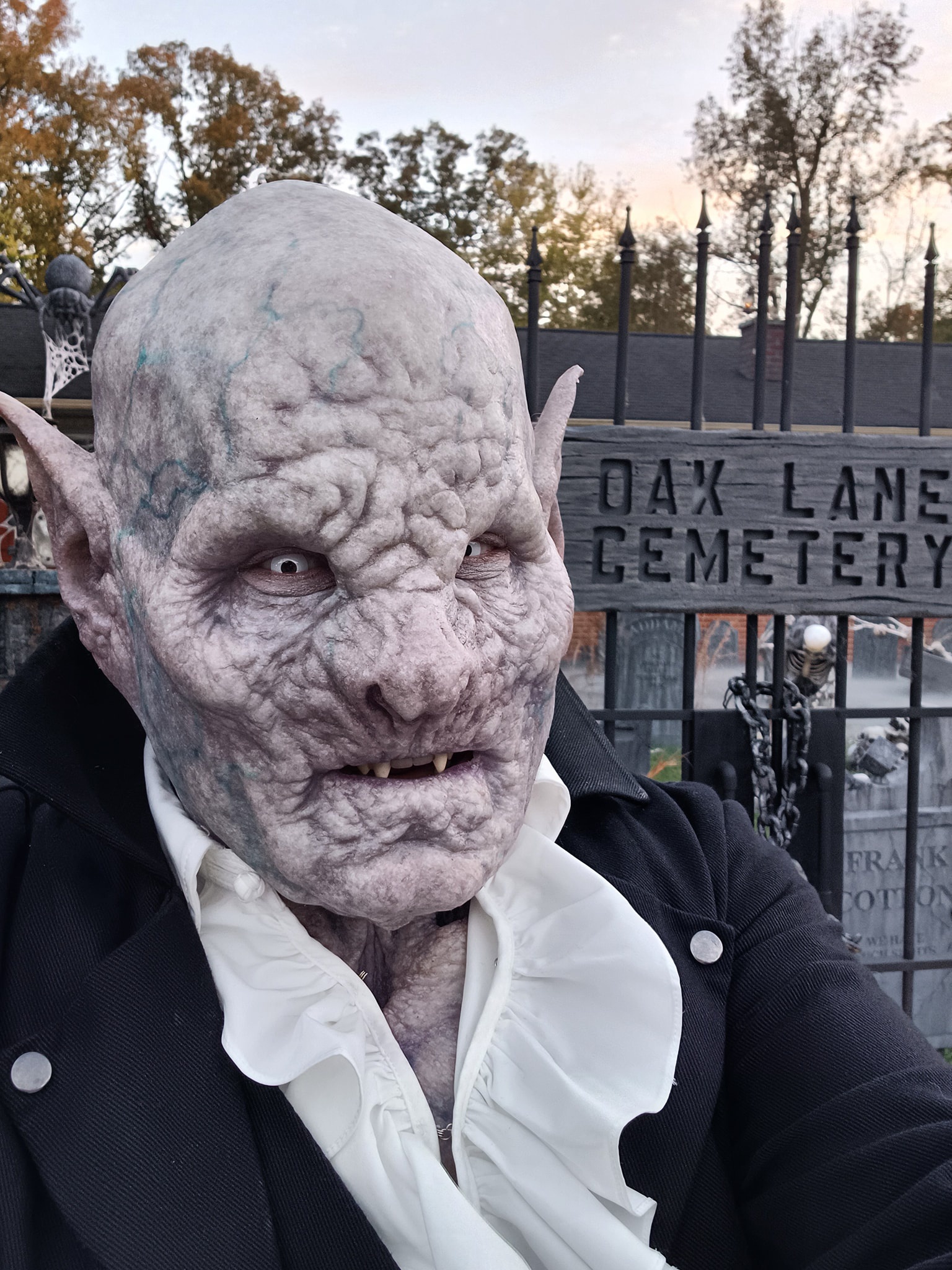 Halloween 2024 was a blast with 455 visitors and a surprise wedding proposal at the end!