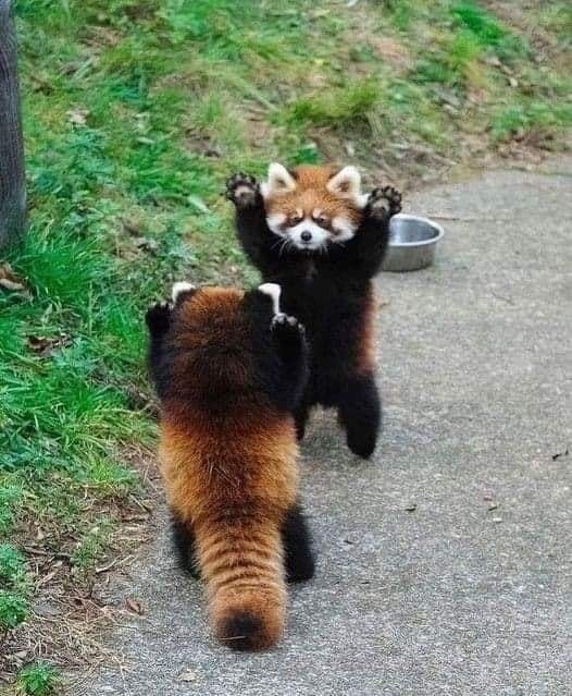 High five, bro!