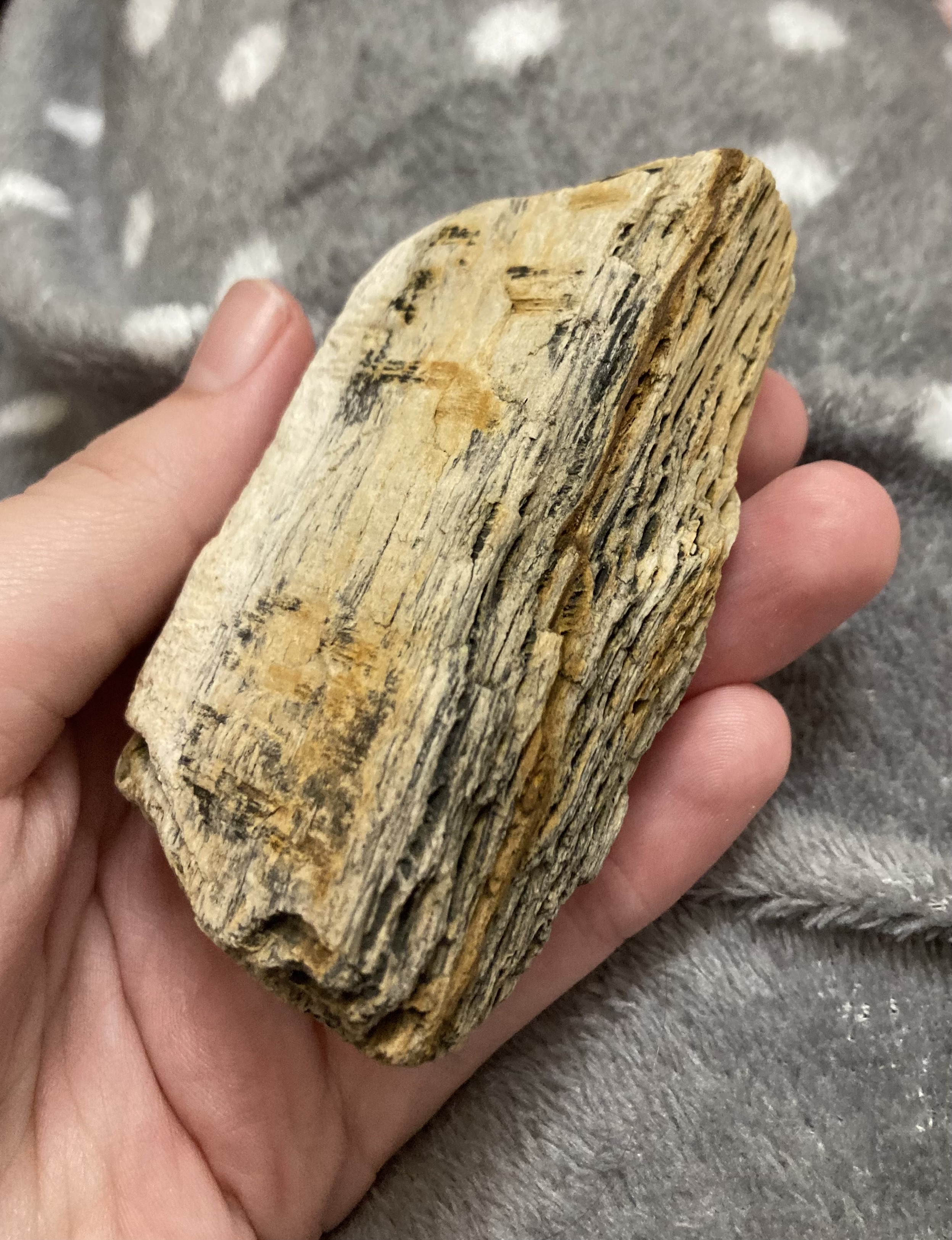 Check Out My Adorable New Rock!