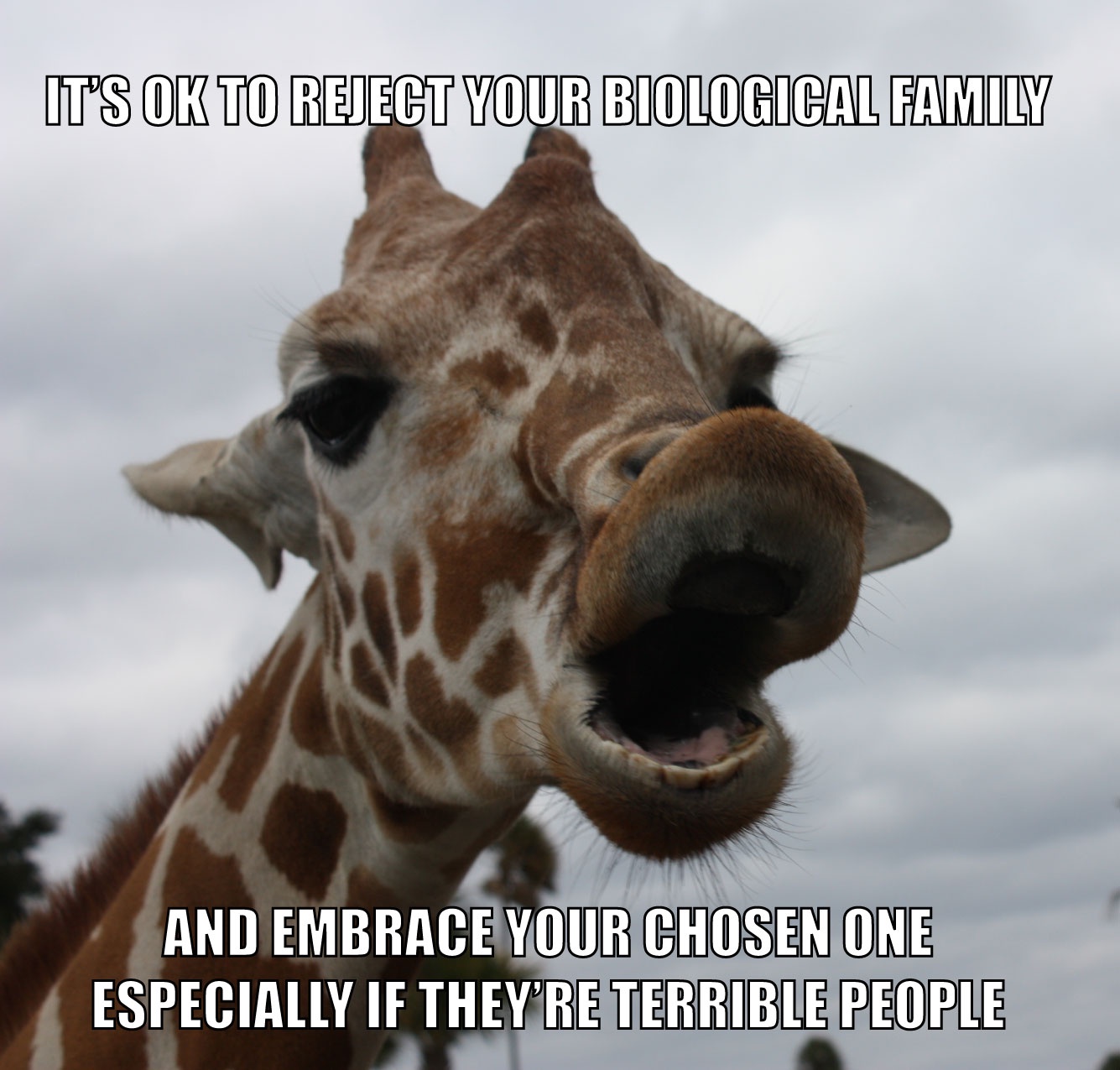 Family Drama vs. Friendship: Why Friends Always Win!