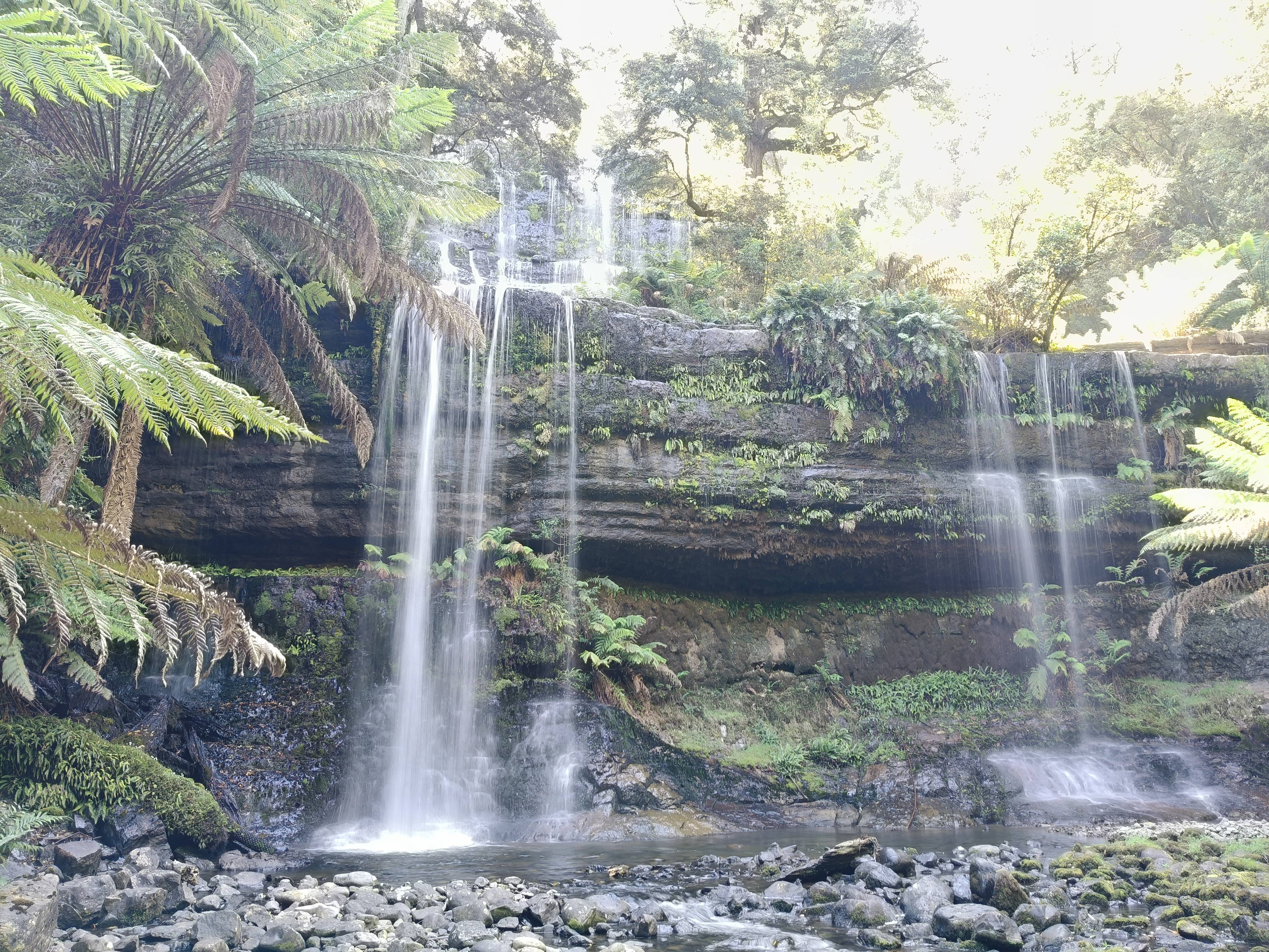 The Breathtaking Beauty of Russel Falls and Horseshoe Falls