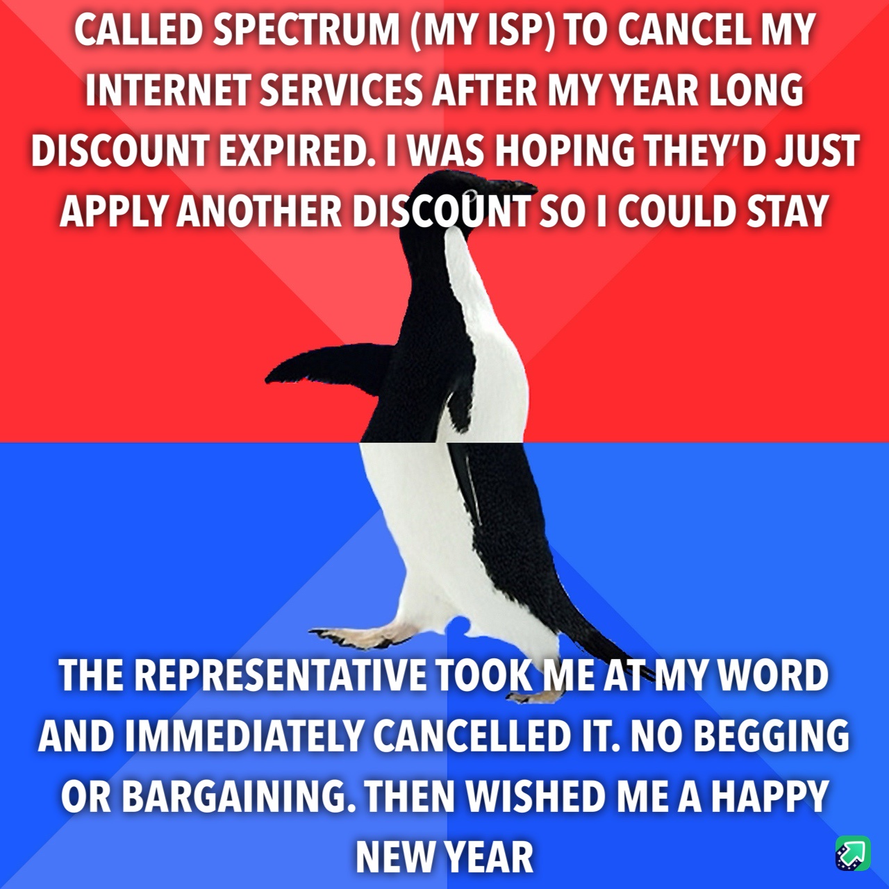 Oh no, they've completely given up and it's hilarious!
