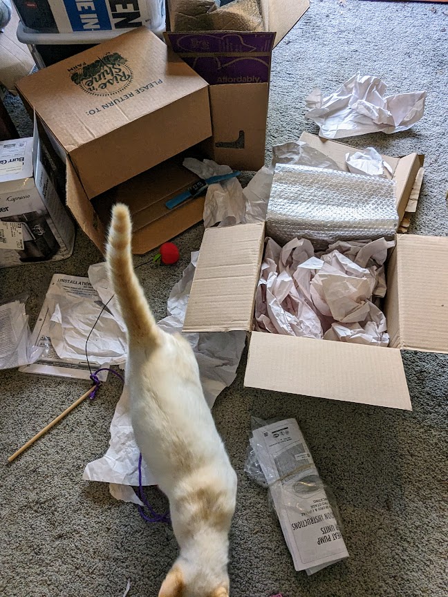 The Little Mischief Maker Discovers a Box of Wrapping Paper