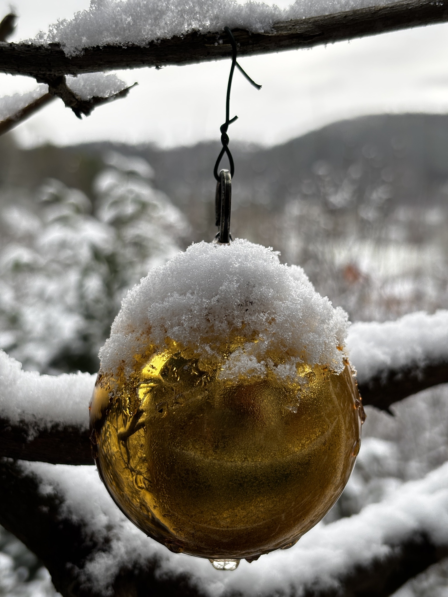 An almost snowy Christmas: capturing the essence of the season.