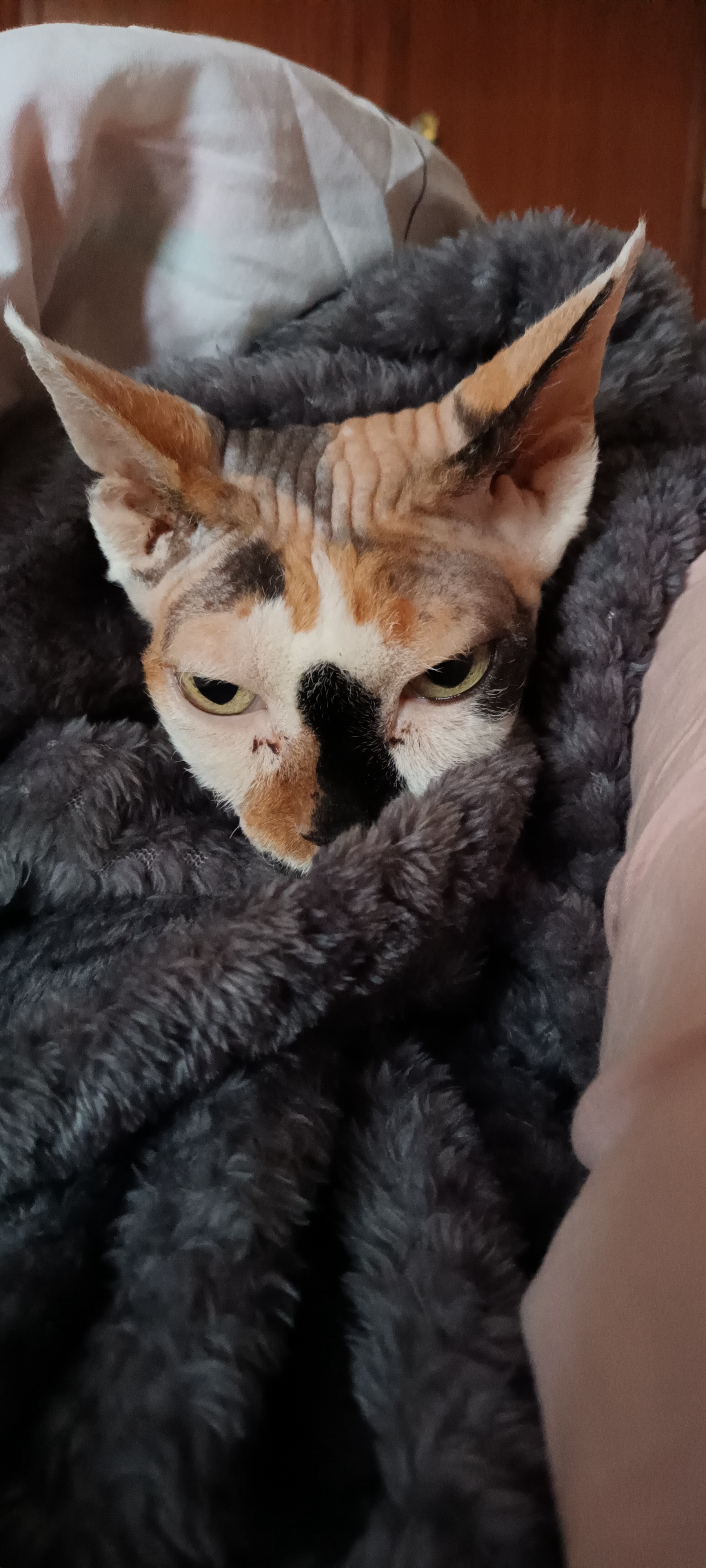 When your indoor thermometer tells you it's too chilly to venture outside ;)