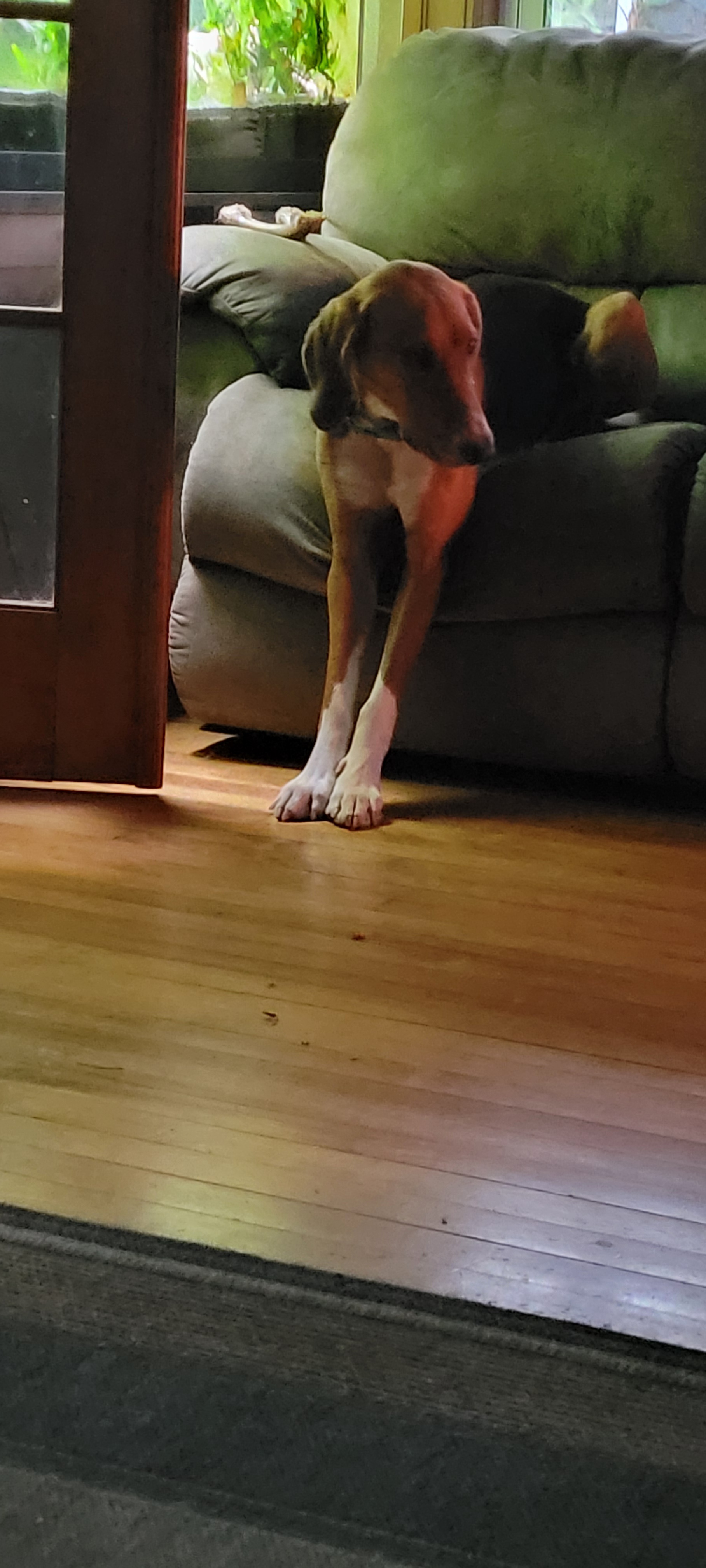 Just Jake, living life