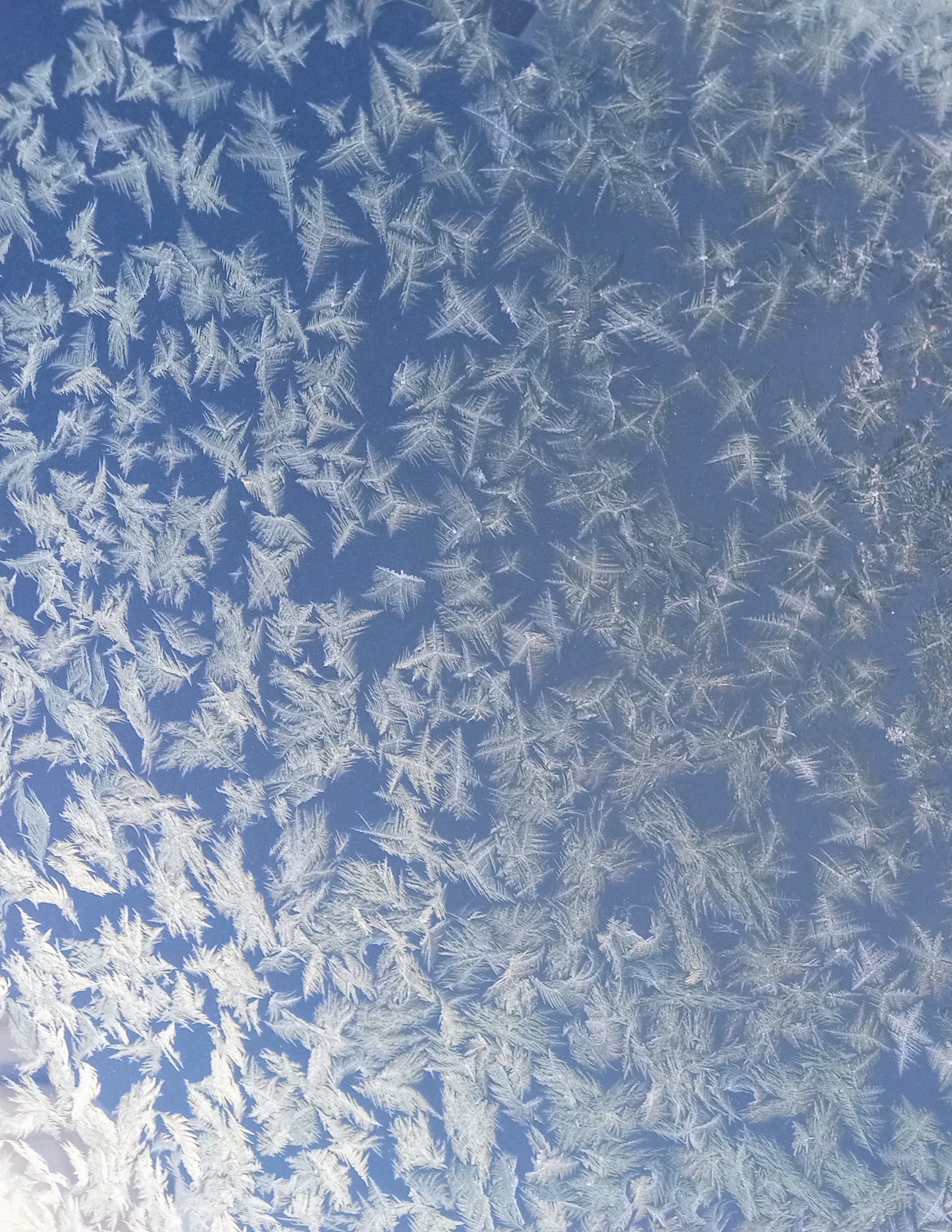 The Beauty of Frost on Glass Captured Perfectly