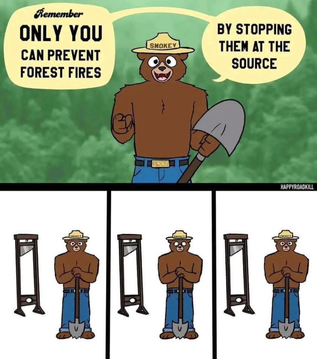 Smokey the Bear: The 21st Century Icon, Still Going Topless!