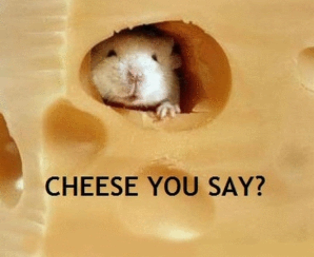 Cheese... Just Cheese