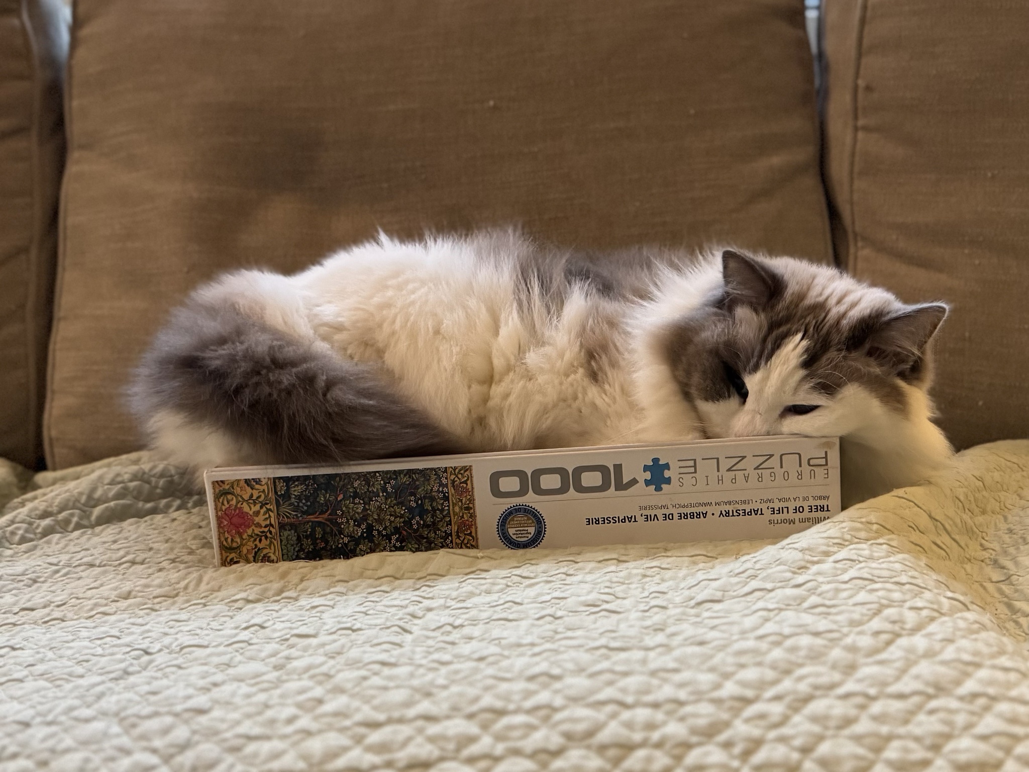 Can I Have a Puzzle, Please?