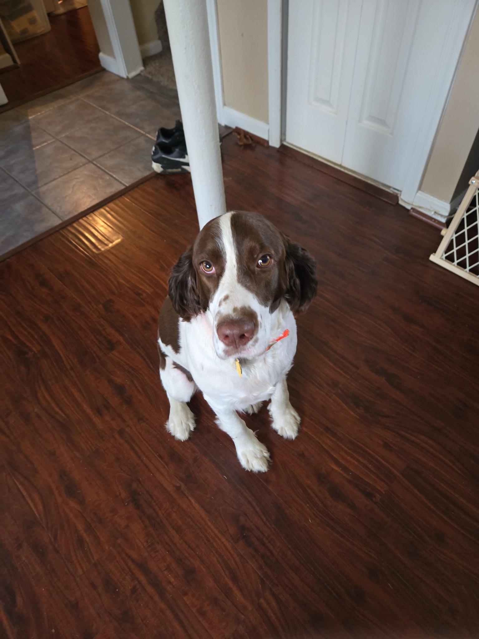 Lucky, our boy from New Jersey!
