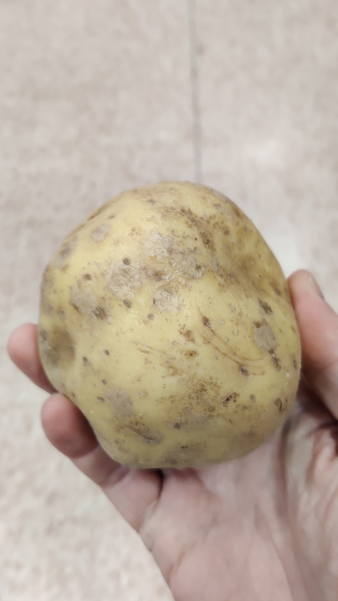 The Mighty Potato: A Starchy Delight