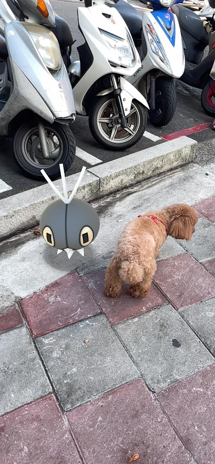 An Old Dog Embraces the World of Pokémon