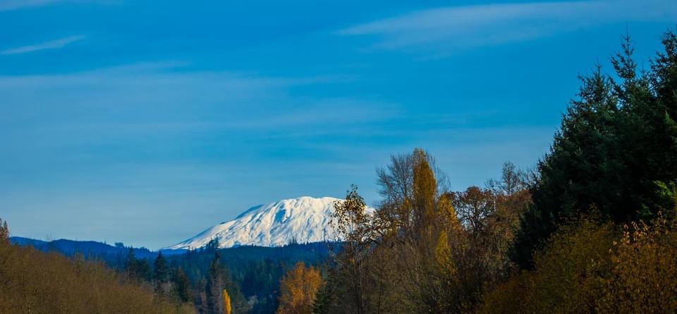 A Winter Wonderland: Snow-Covered Scenes