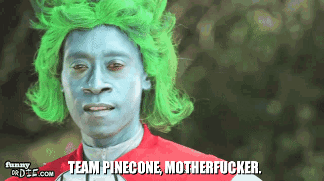 Join the Pinecone Squad!