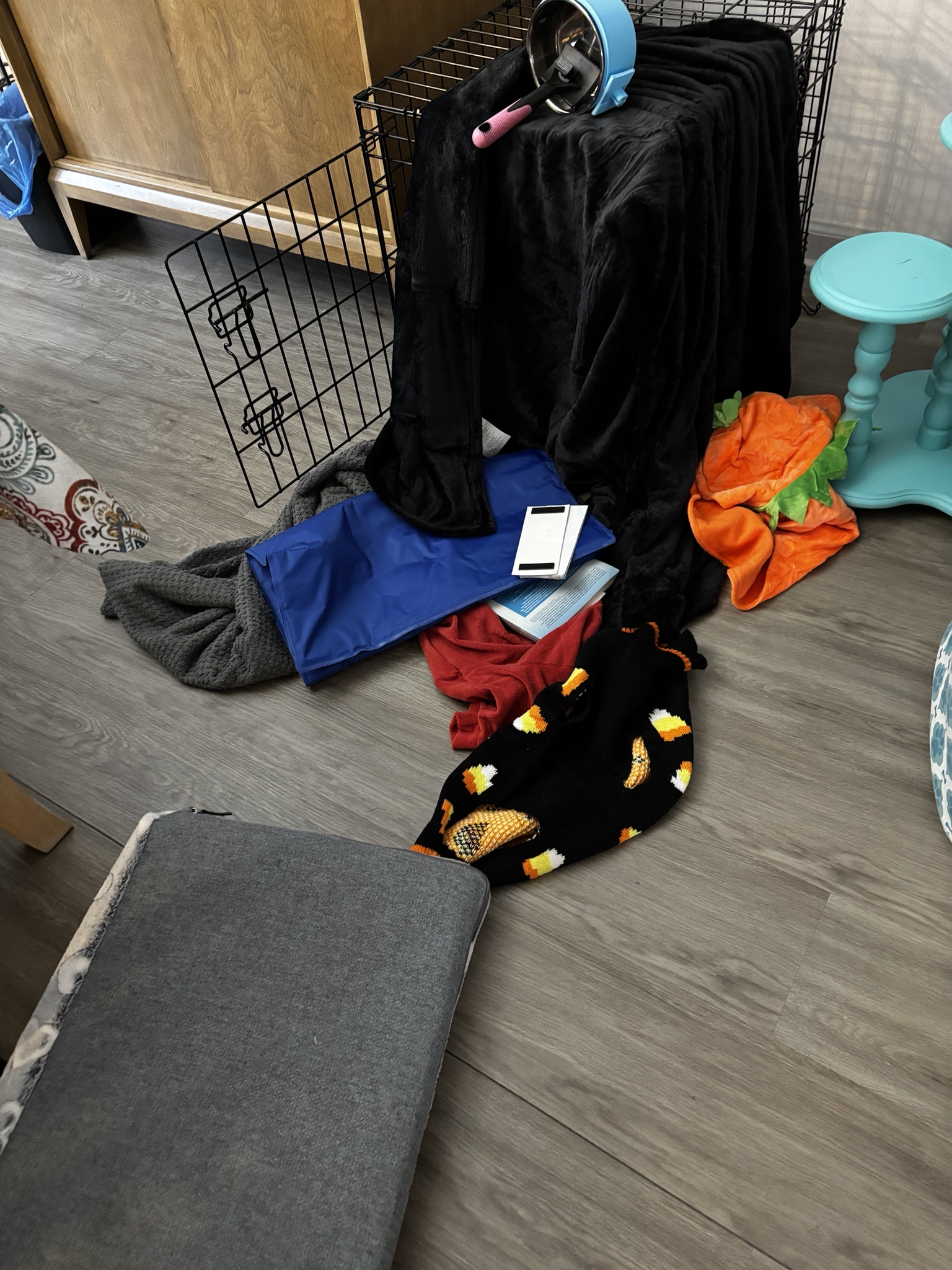 Rigby Ragazzo: Today's Adventures Unfold