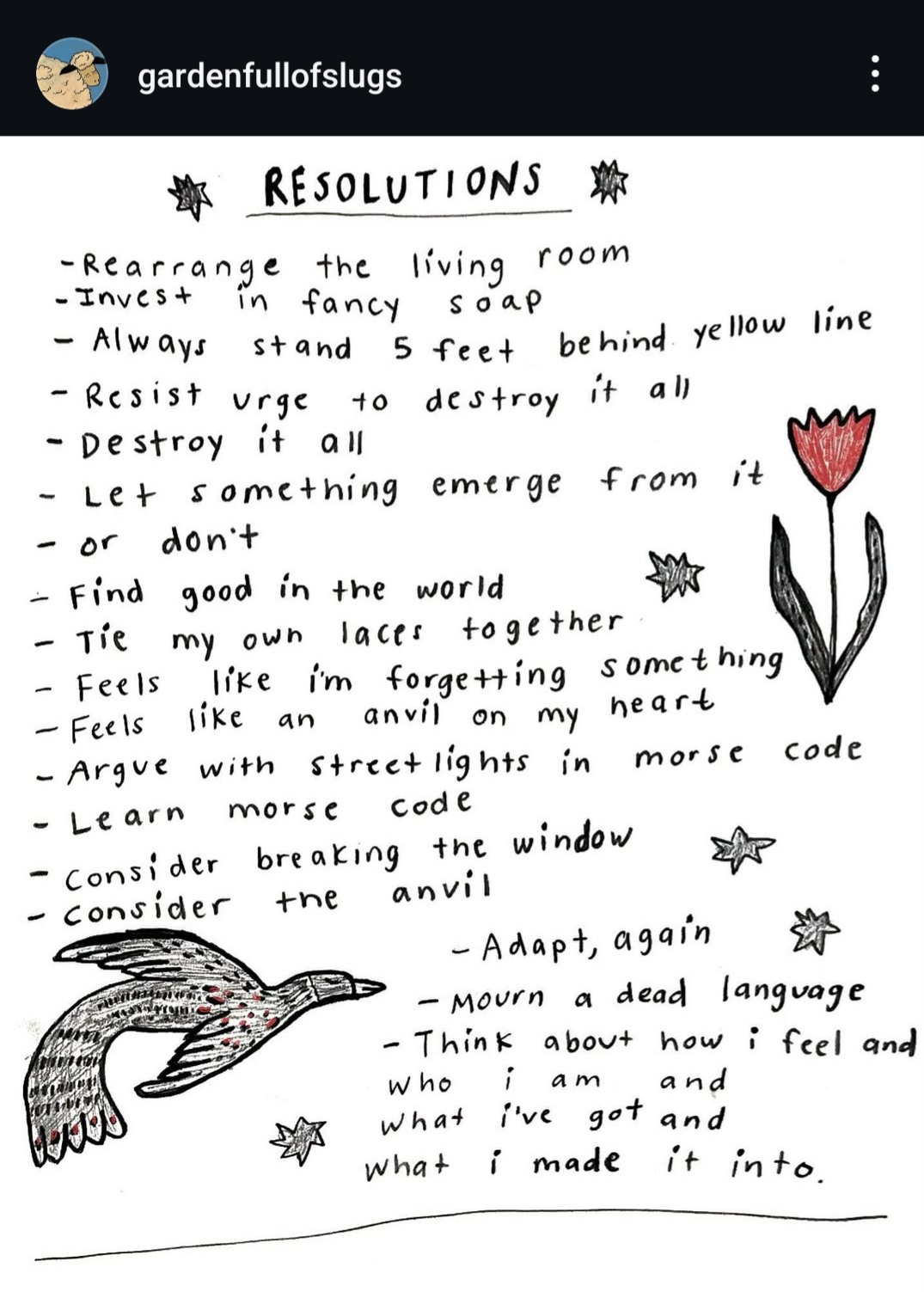 Embracing Resolutions: A Fresh Start