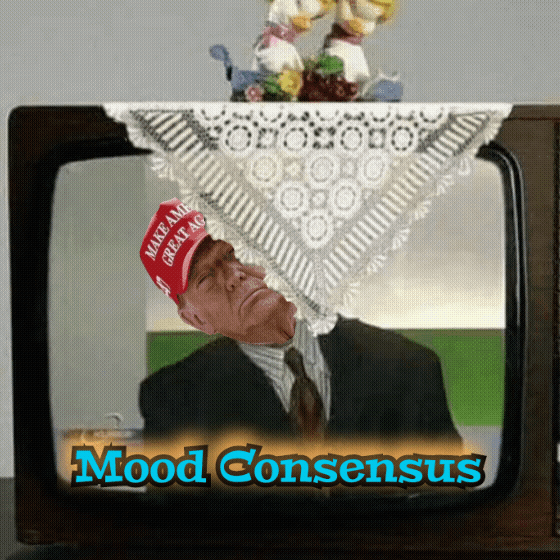 Letting It All Out: A Moment of Reflection