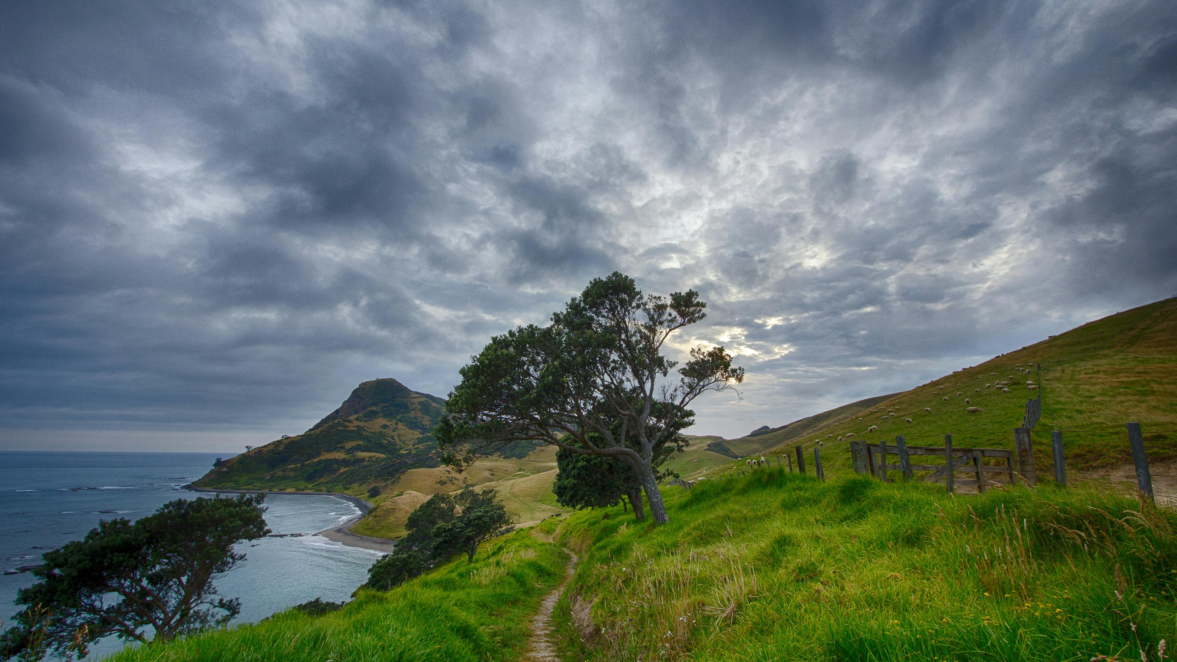 A Moody Adventure Along the Coastline