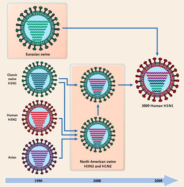 In Case You're Curious: The H1N1 Evolution Story