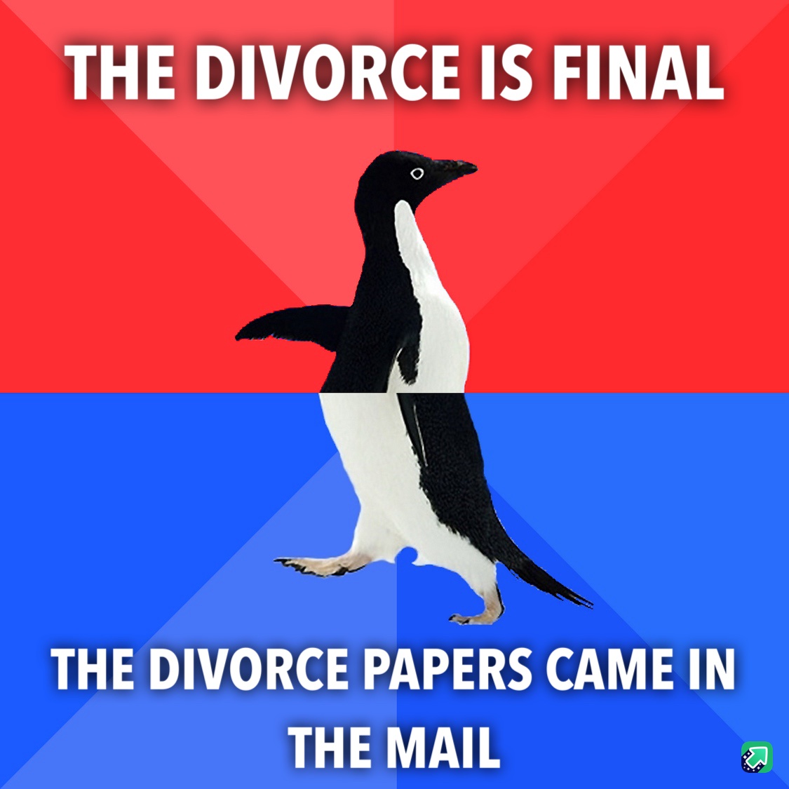 The Awkward Reality of a Socially Awkward Divorce