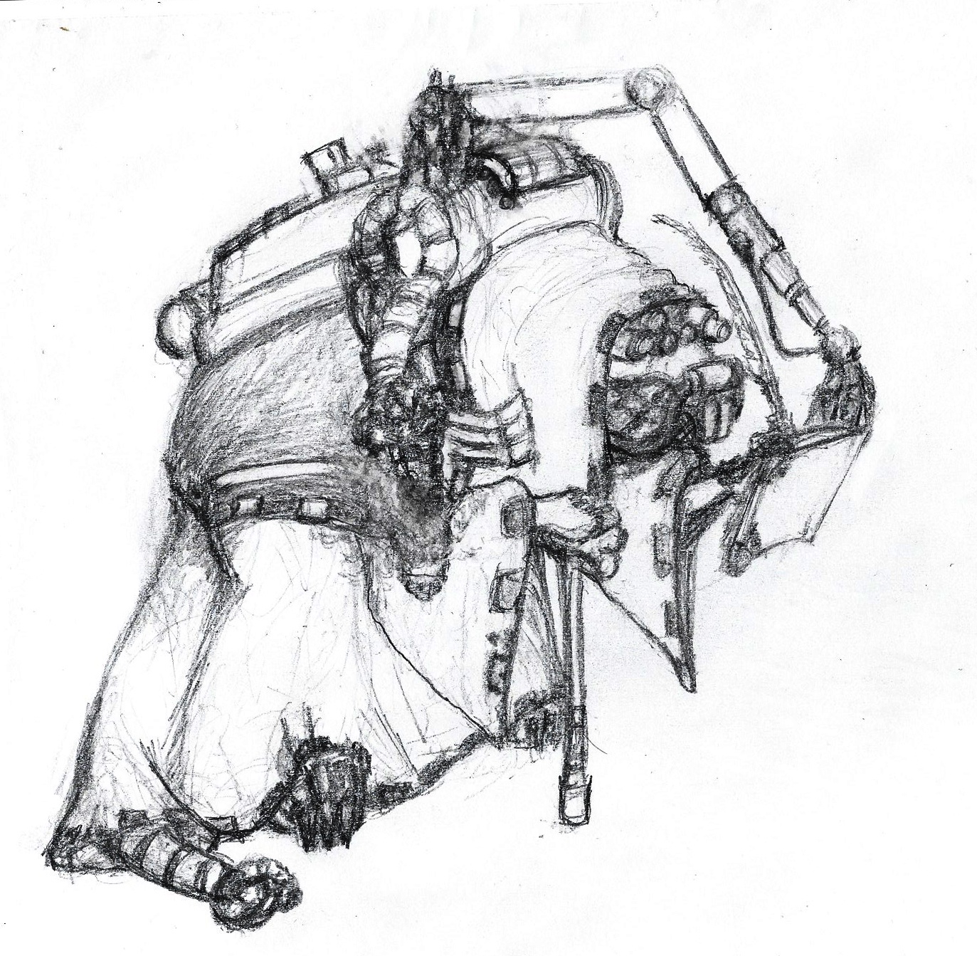 Meet the Scribe: The Rodent of Unusual Size!