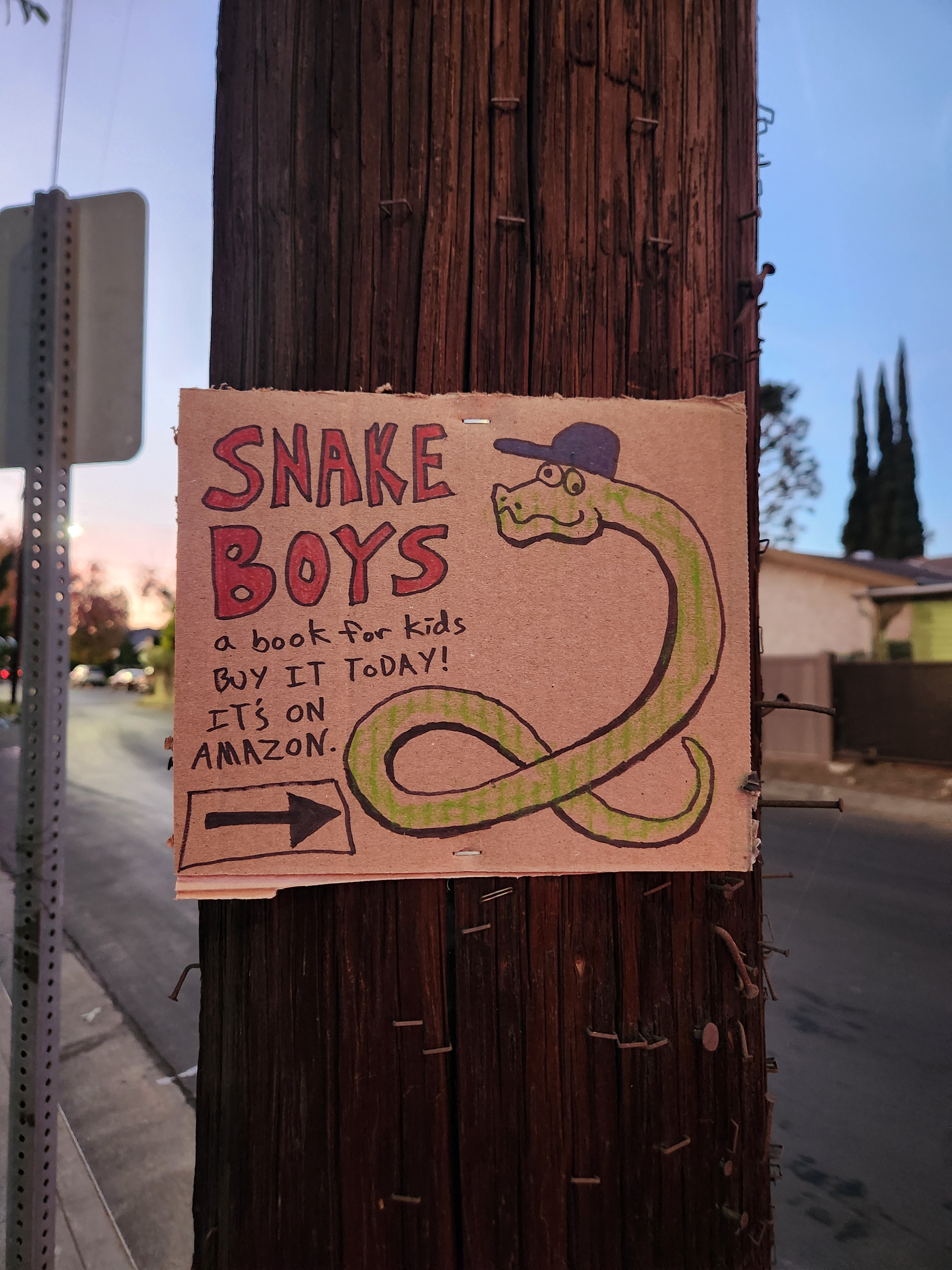 The Adventures of the Snake Boys