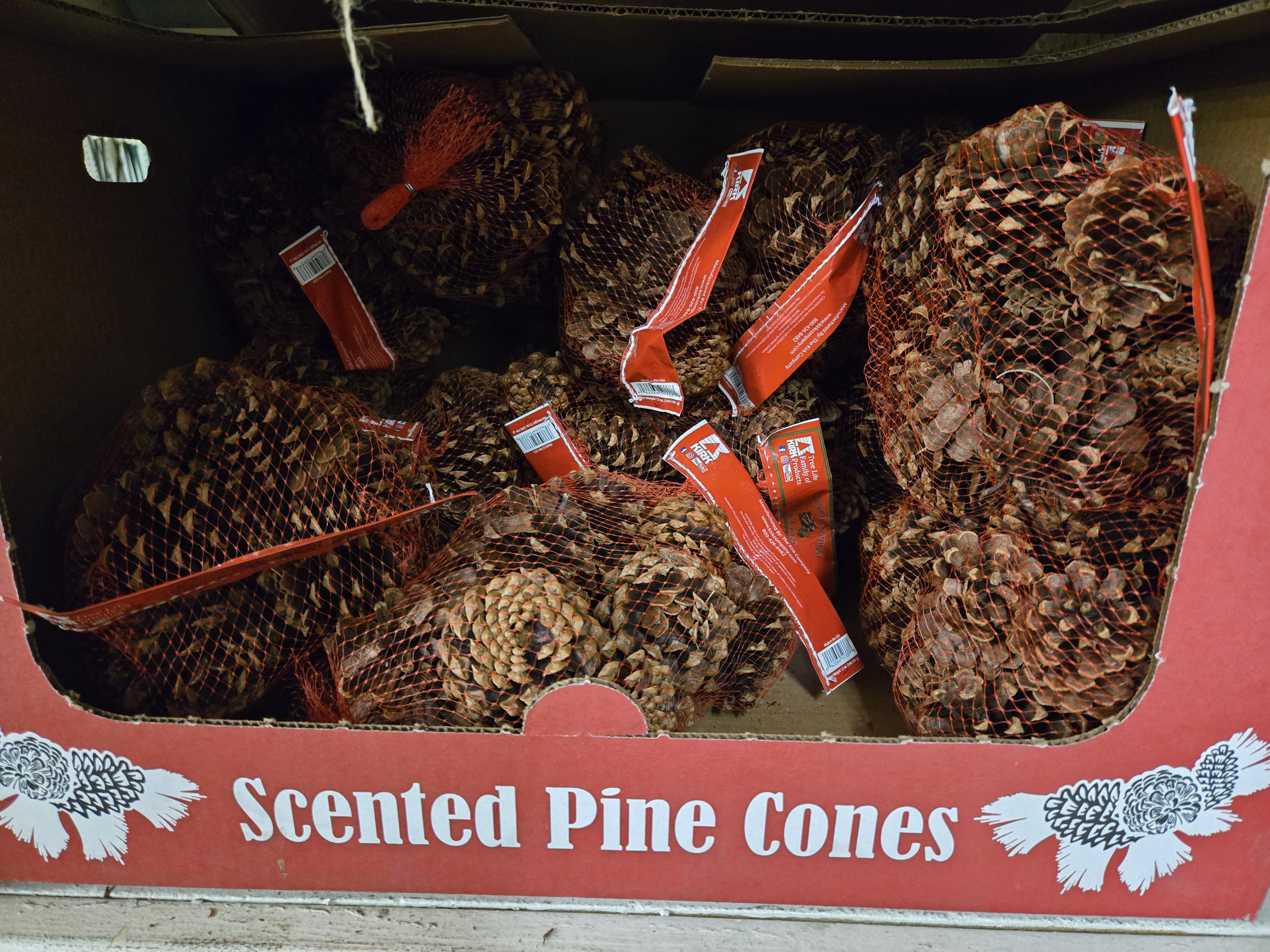 Pinecones, unite for the holiday season!