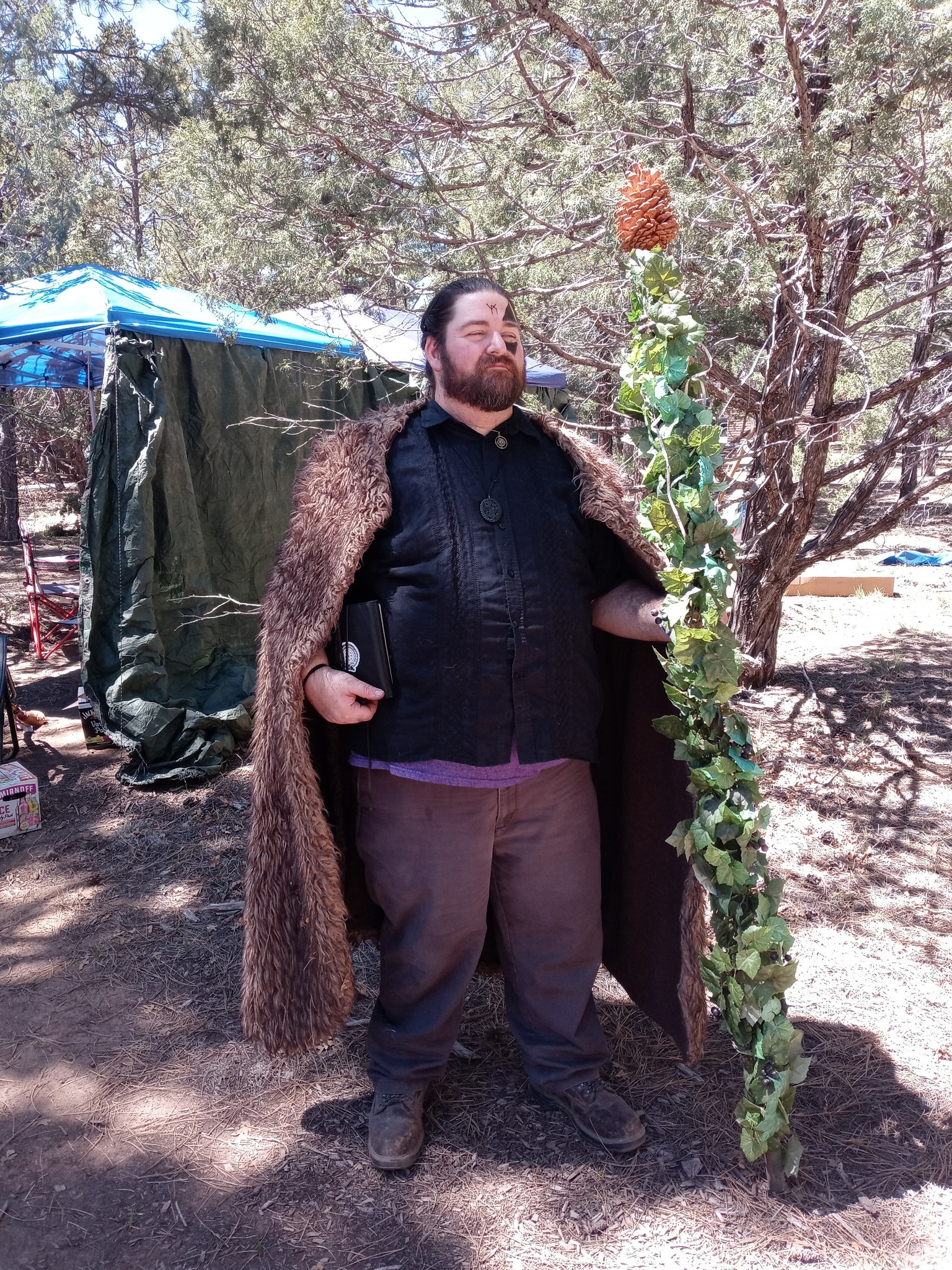 Join Team PineCone: I Cast, Let the Snowball Fight Begin!