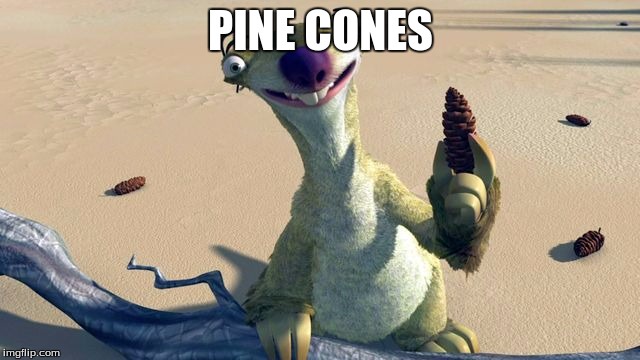 Forever Loyal to Team Pinecone!