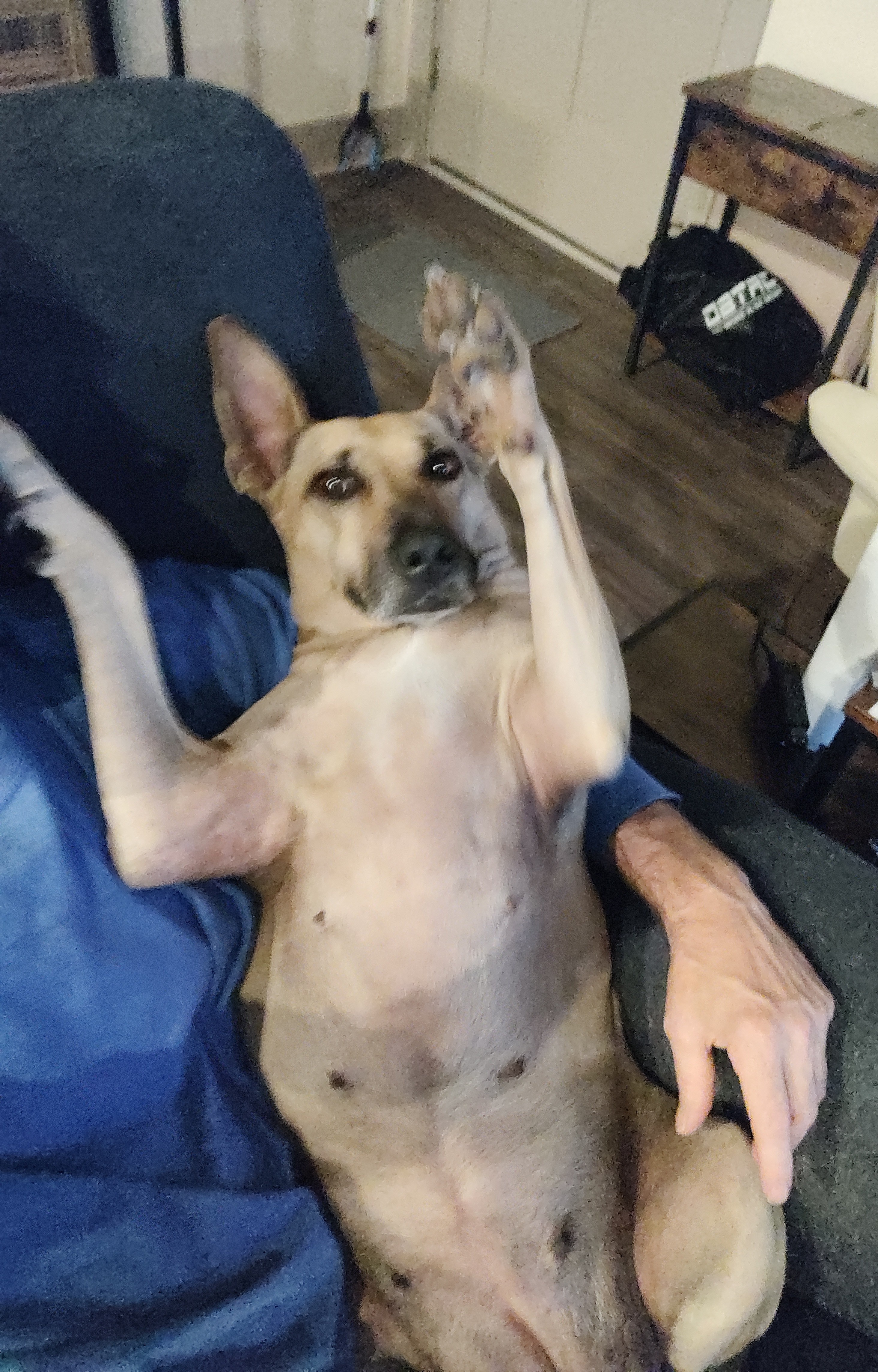 Maggie is Radiating Positivity Today!
