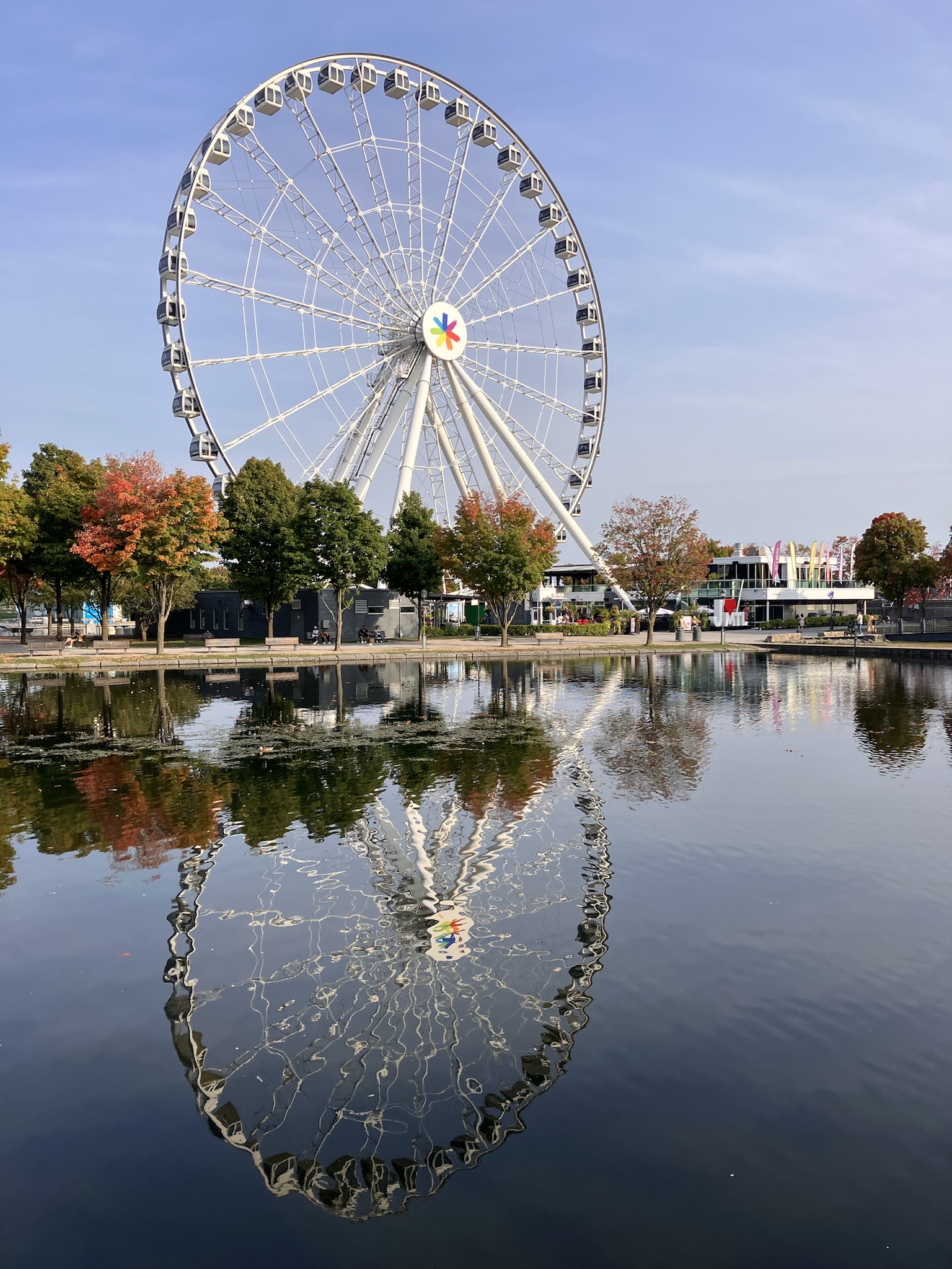 Capturing the Beauty of Autumn in Old Montreal