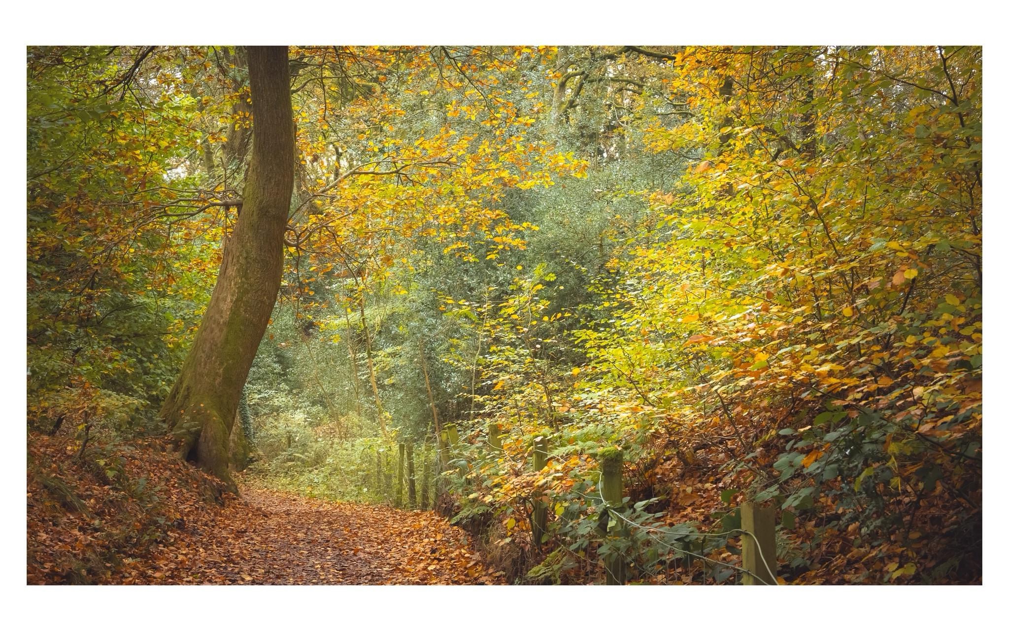 Embracing the beauty of autumn