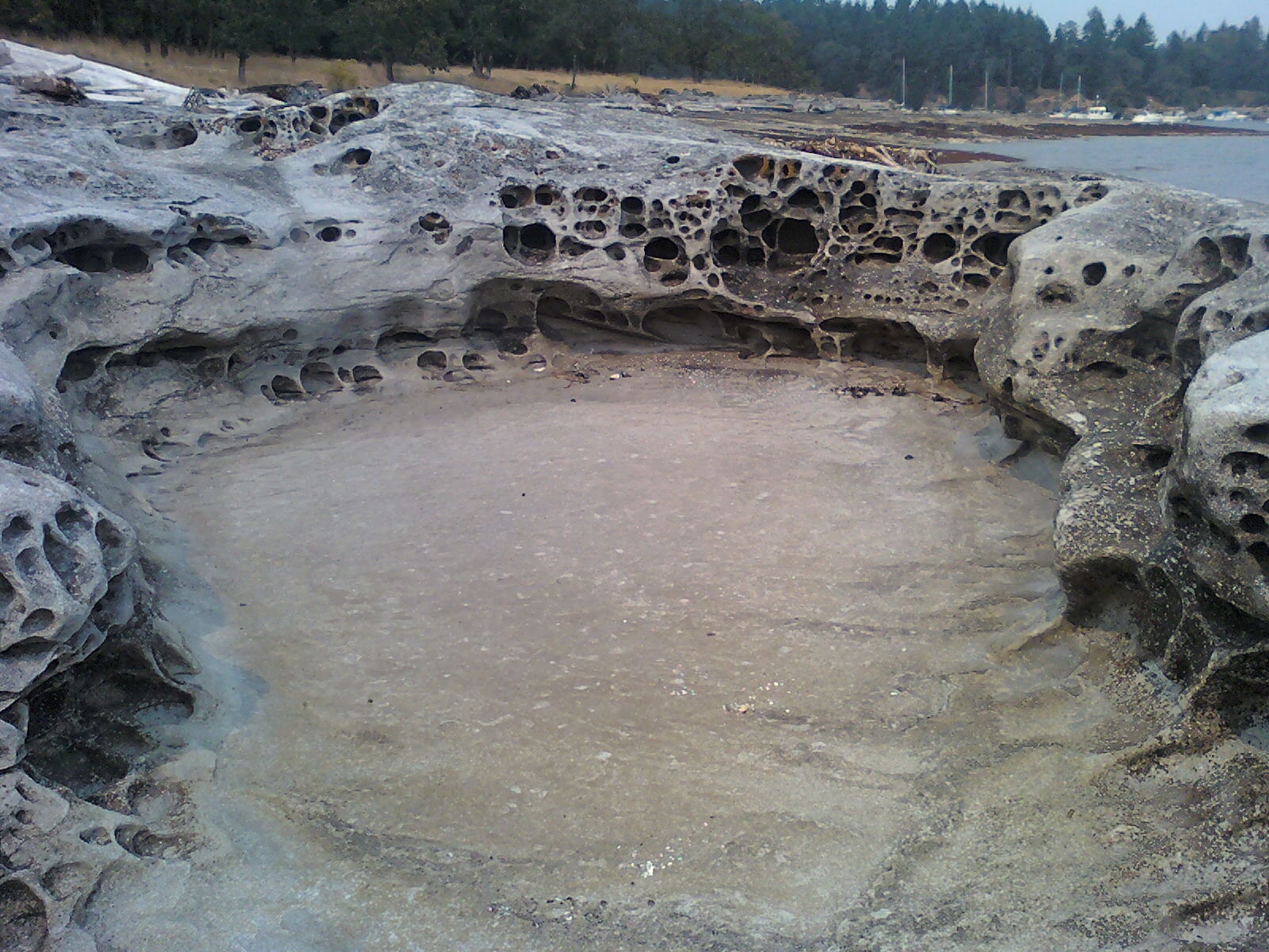 Fascinating rock erosion revealed at low tide in Newcastle, Nanaimo BC