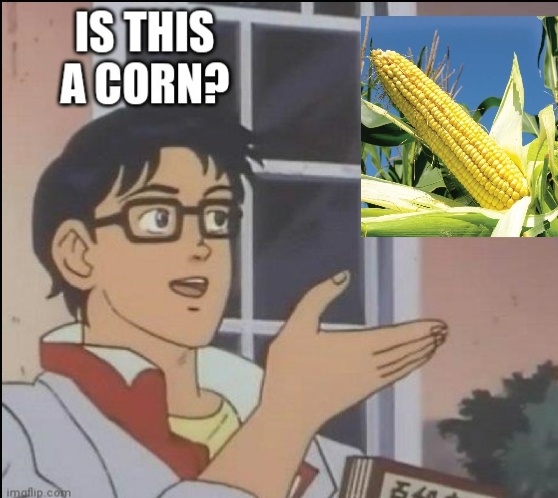 Proud Member of the Corn Team!
