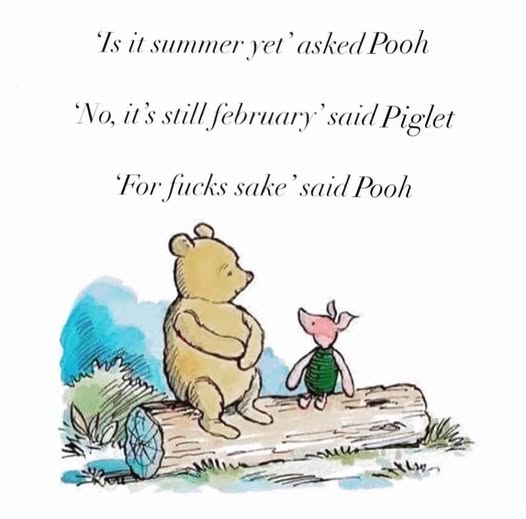 Indeed, Pooh. Indeed. A Moment of Reflection.