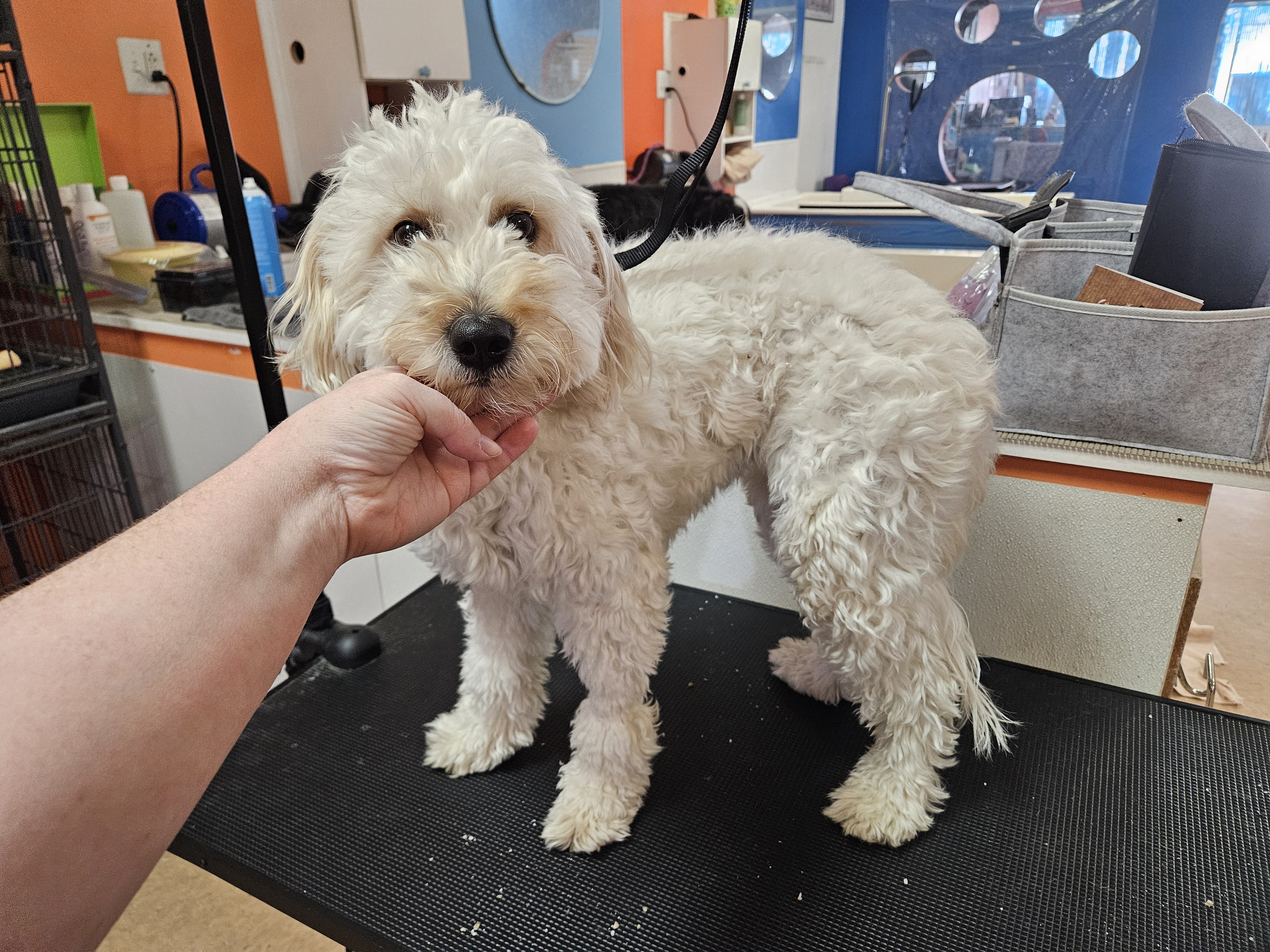 I need your honest feedback on this haircut!