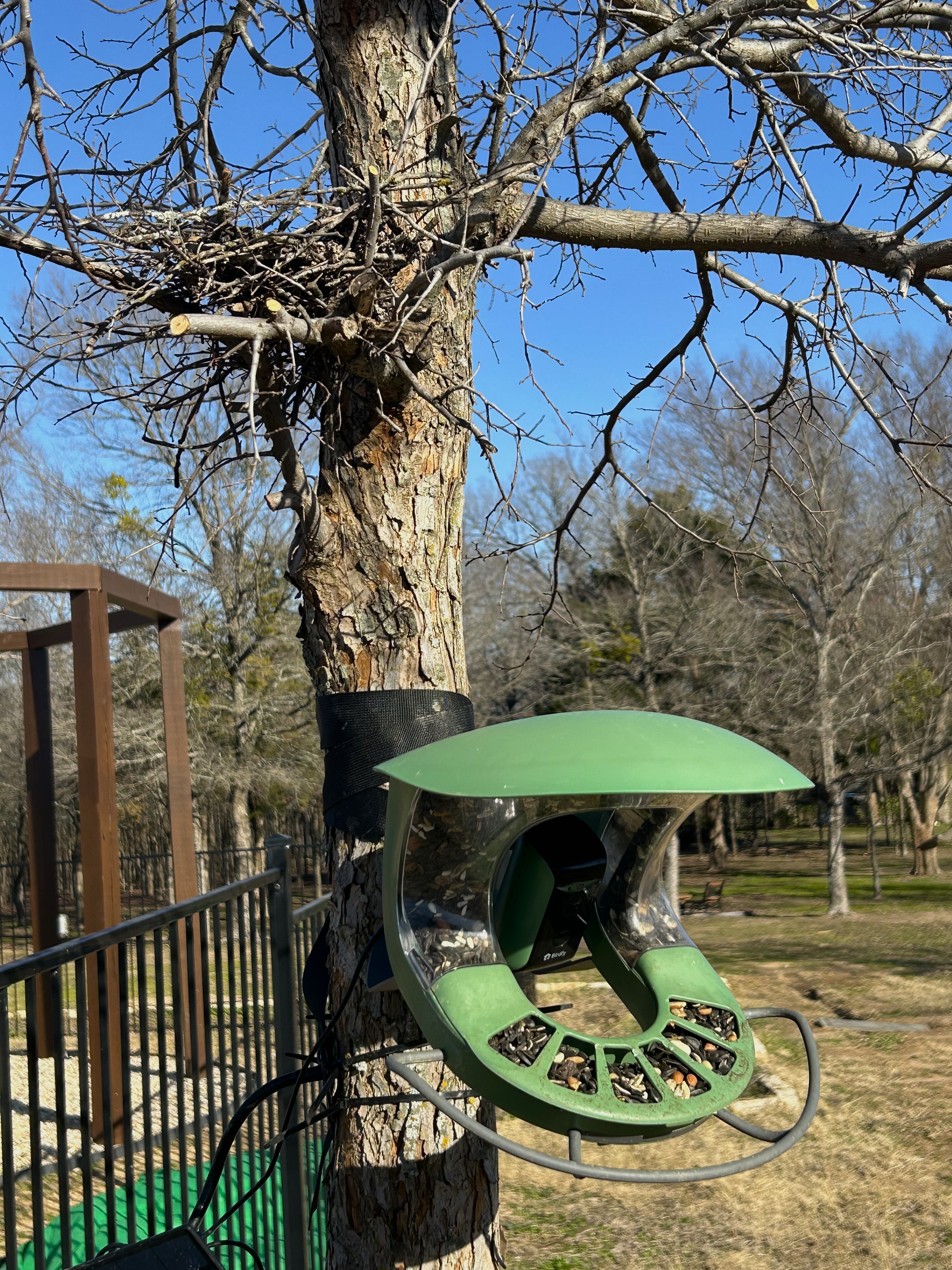 A cozy birdfeeder and its charming nest.