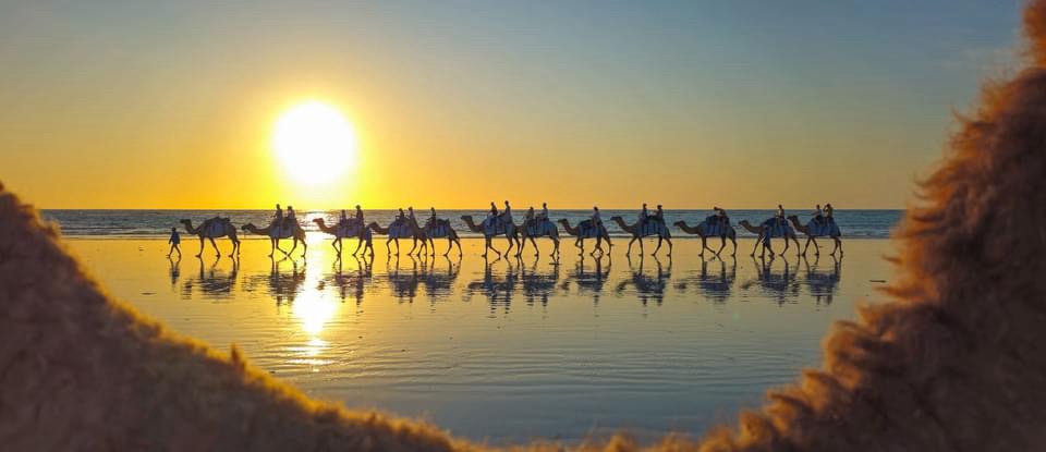 A Line of Camels: Nature's Unique Formation