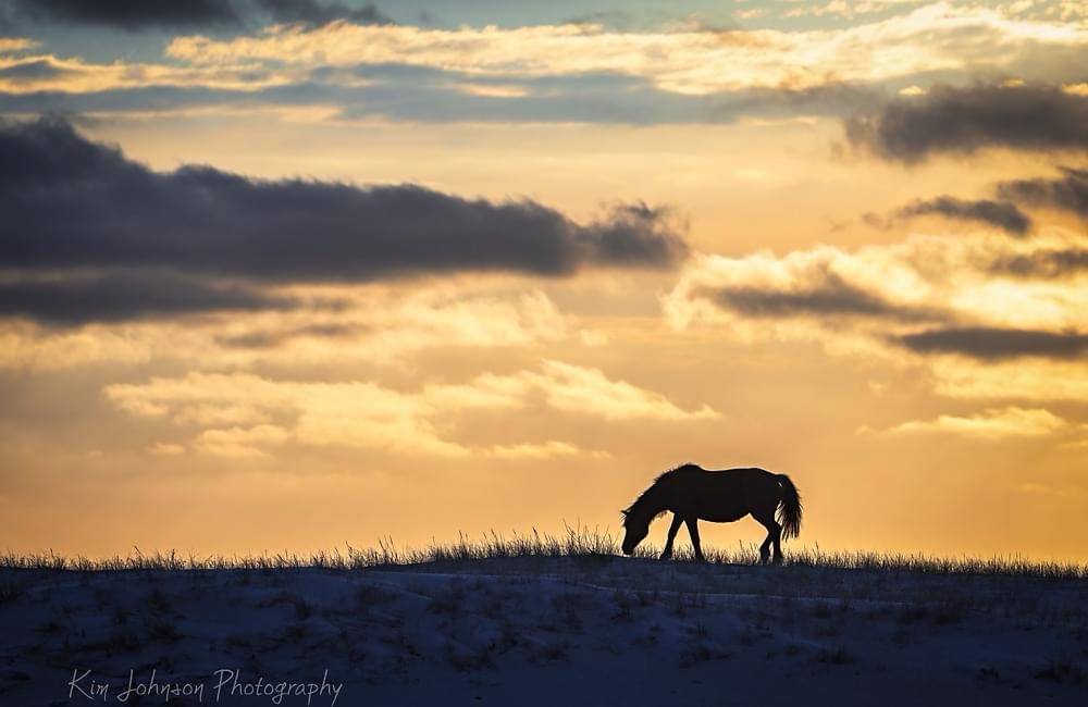 Another Gorgeous Sunrise to Brighten Your Day