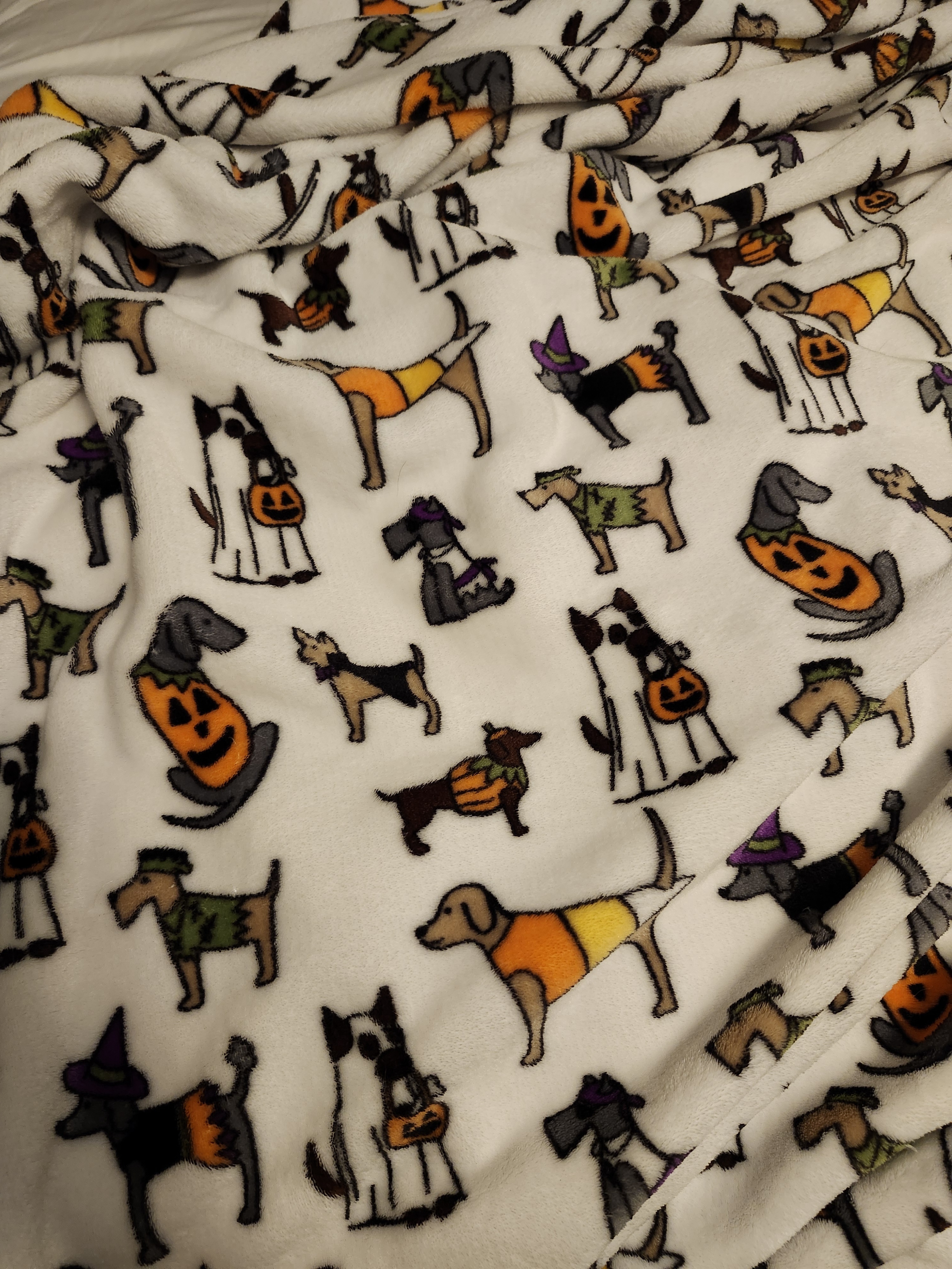 Adorable Dog Costumes for Halloween Fun