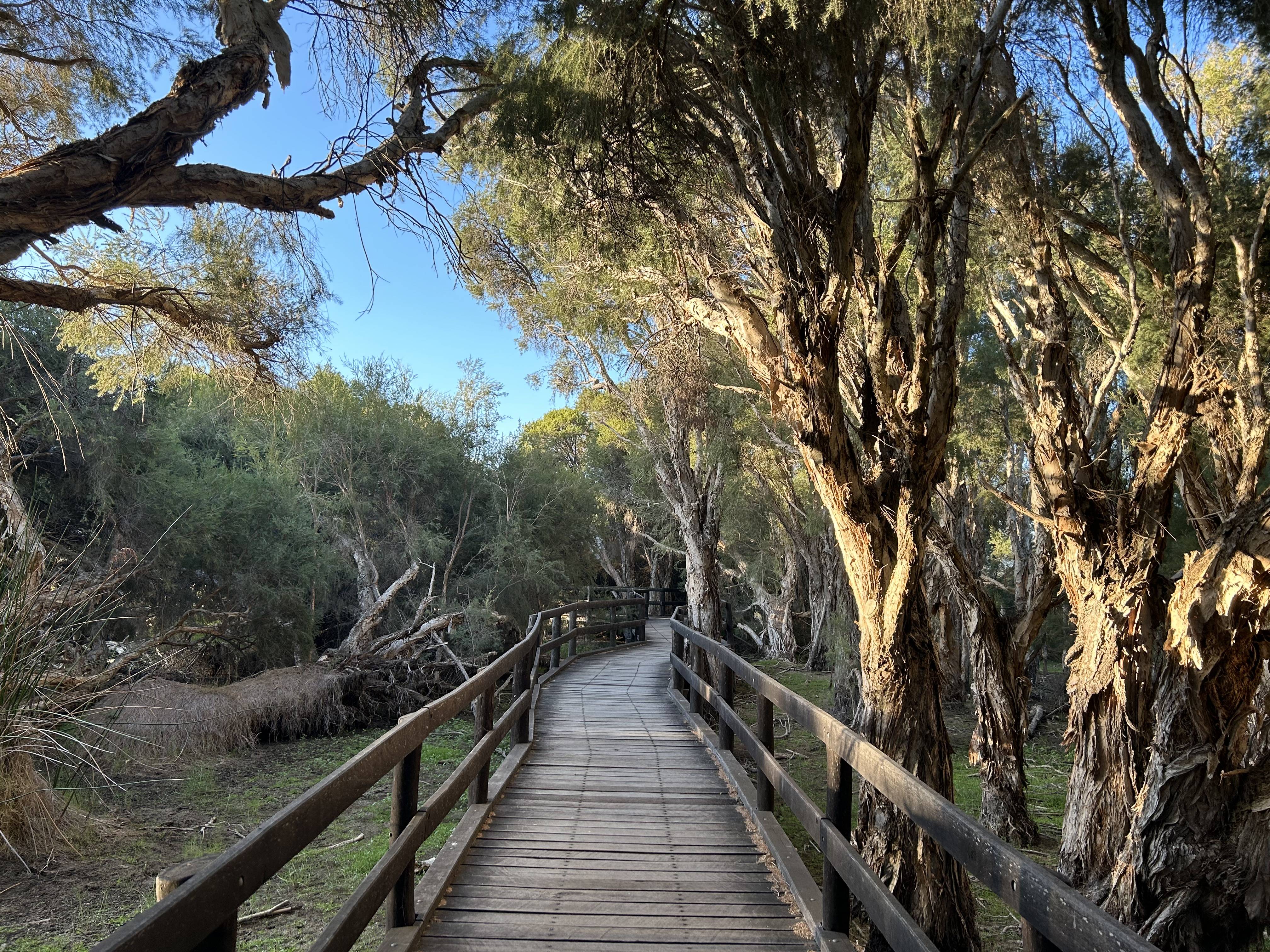 Exploring the Serene Beauty of Herdsman Lake in Perth, Australia