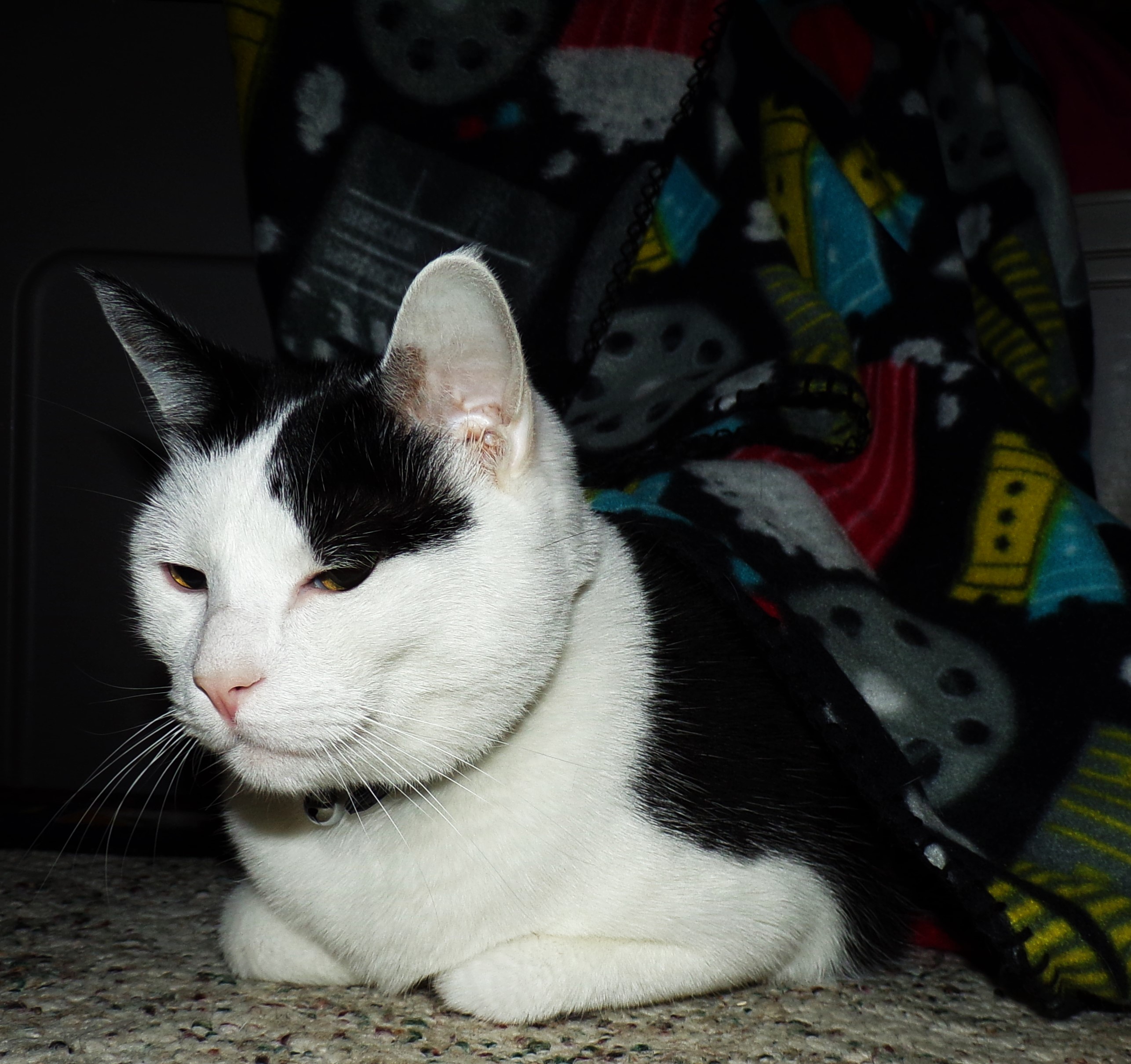 Reflections on My Old Man