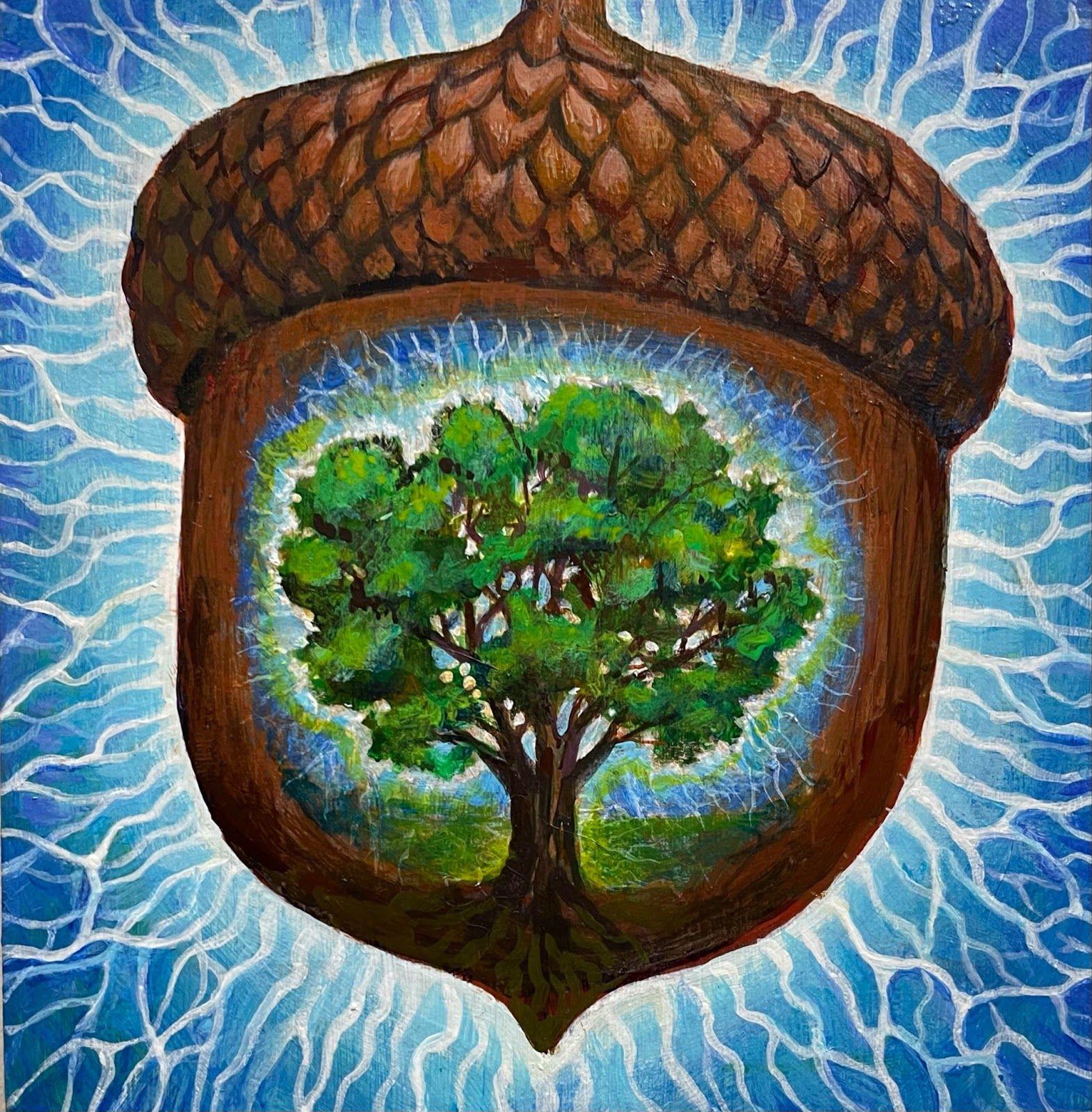 Dreaming big with Acorn Adventures